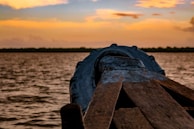 person in black gloves on brown wooden dock during sunset