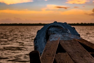 person in black gloves on brown wooden dock during sunset
