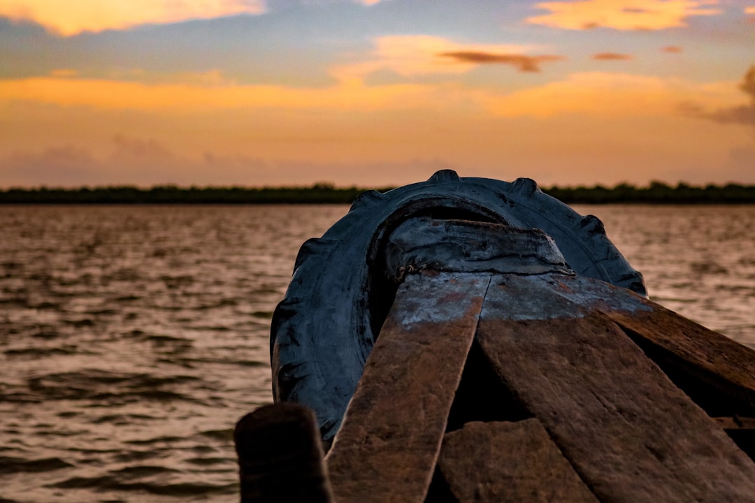 Natural landscape photo spot Sundarban Bangladesh