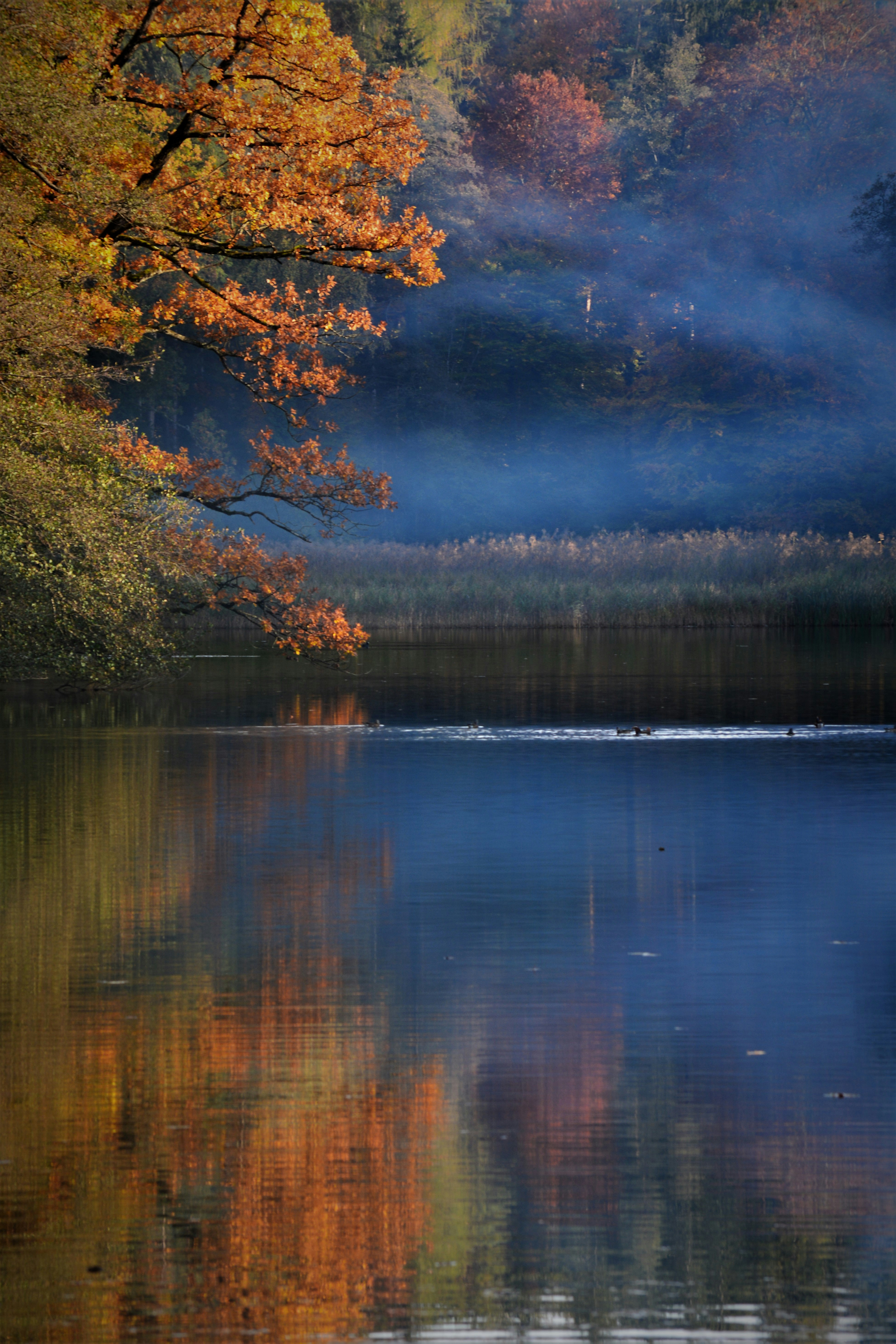 Photo by pedrino5_official