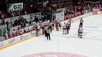 A lively group of adult hockey players sharing laughs on the ice rink.