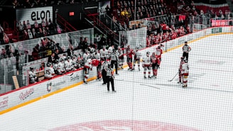 A group of ice hockey players gather on the rink near the benches. Players from both teams, wearing red and white jerseys, are engaged in discussion. Referees in black and white striped uniforms stand nearby. A row of seated players and coaches are on the benches with a crowd in the background.