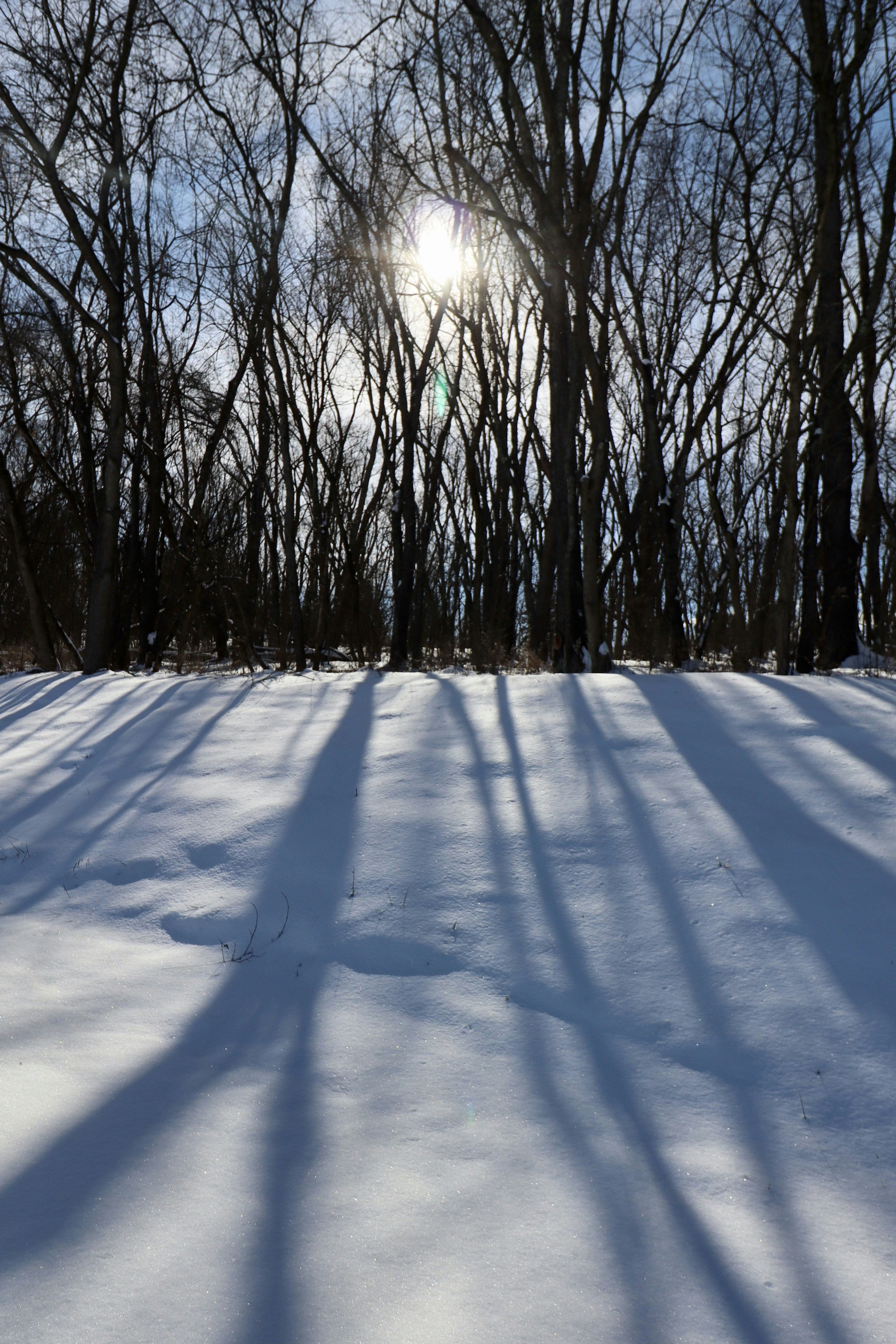 Photo by itsfiveoclock