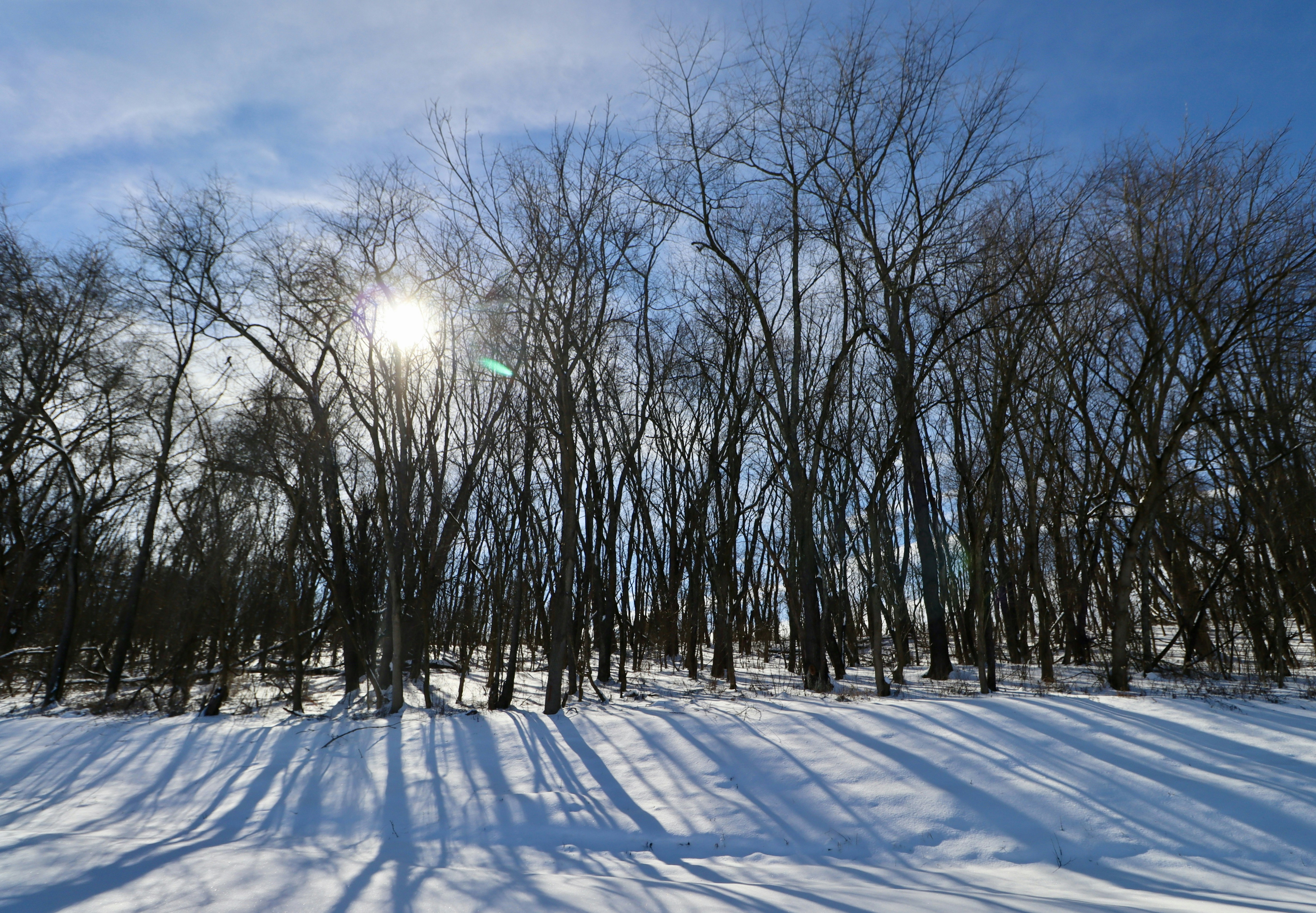 Photo by itsfiveoclock