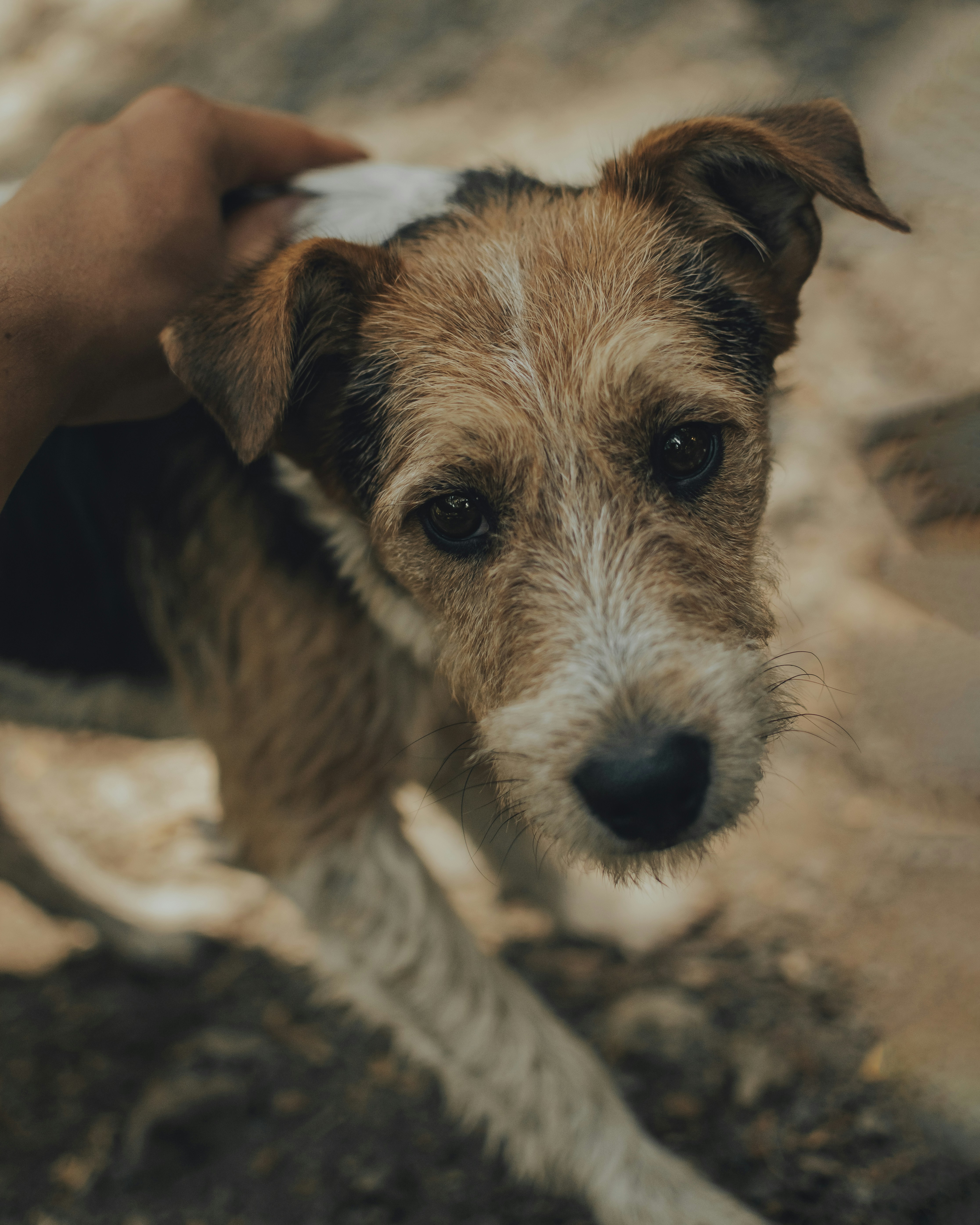 Photo by gasparzaldo