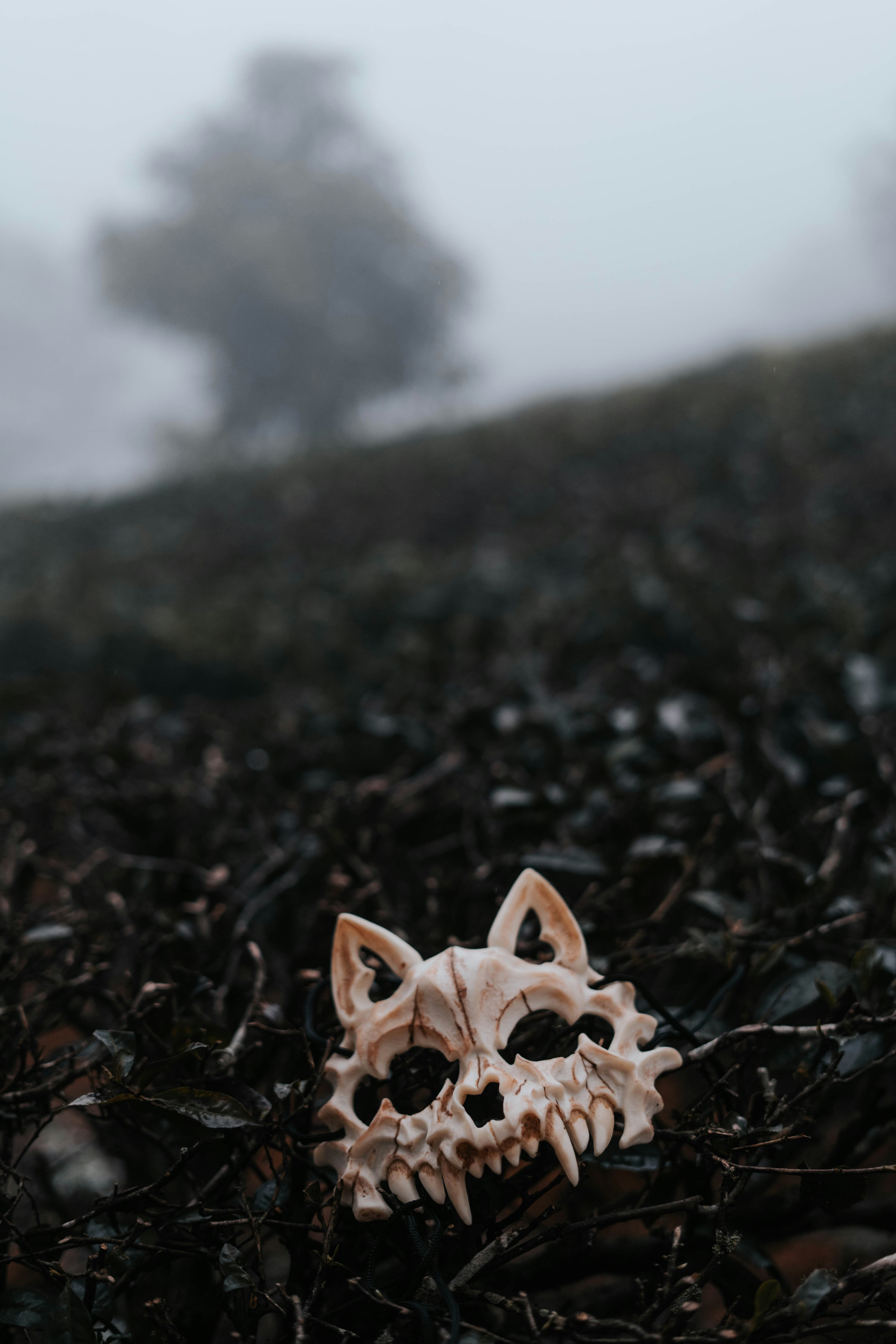 photo-1612538479737-a96665219020?ixid=M3wxMjA3fDB8MXxzZWFyY2h8MTB8fGZpbmRzb21lfGVufDB8fHx8MTc1OTA0ODQ1N3ww\u0026ixlib=rb-4.1.0