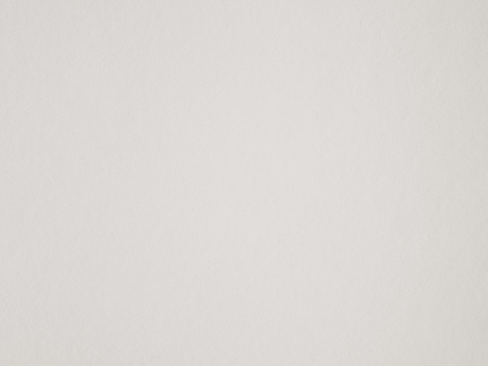 Dog being gently bathed in a grooming tub