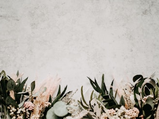 A collection of botanical illustrations on a neutral background.