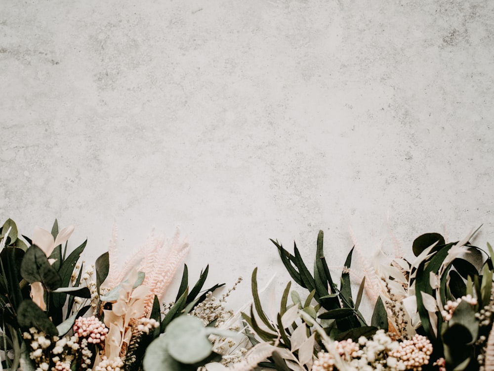 green plant on white concrete floor