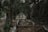 An abandoned railway track overgrown with vegetation runs through a dense forest. The path is covered with fallen leaves and pine needles, surrounded by tall evergreen trees. The atmosphere feels secluded and untouched, with the tracks partially buried under natural debris.