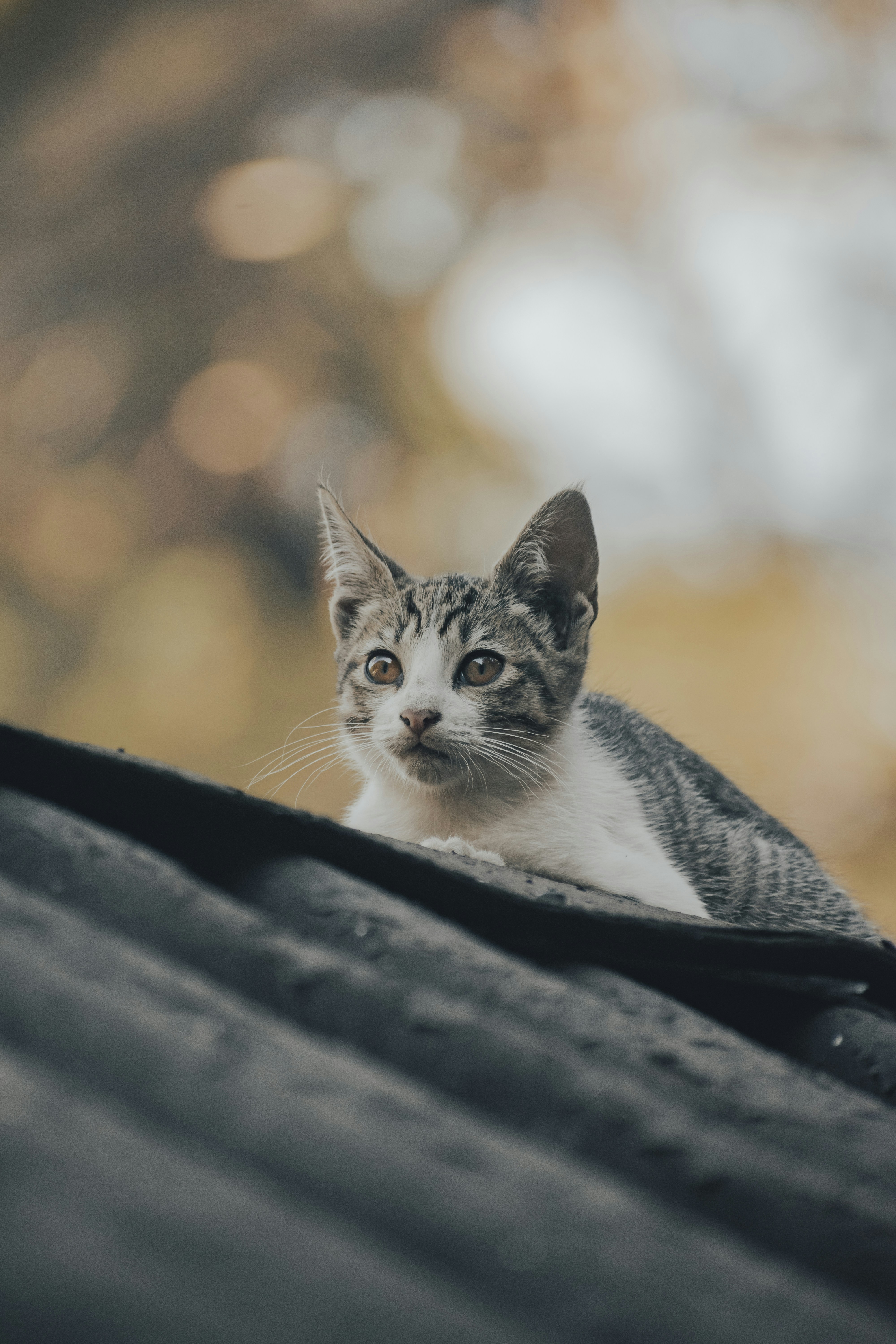 Photo by gasparzaldo