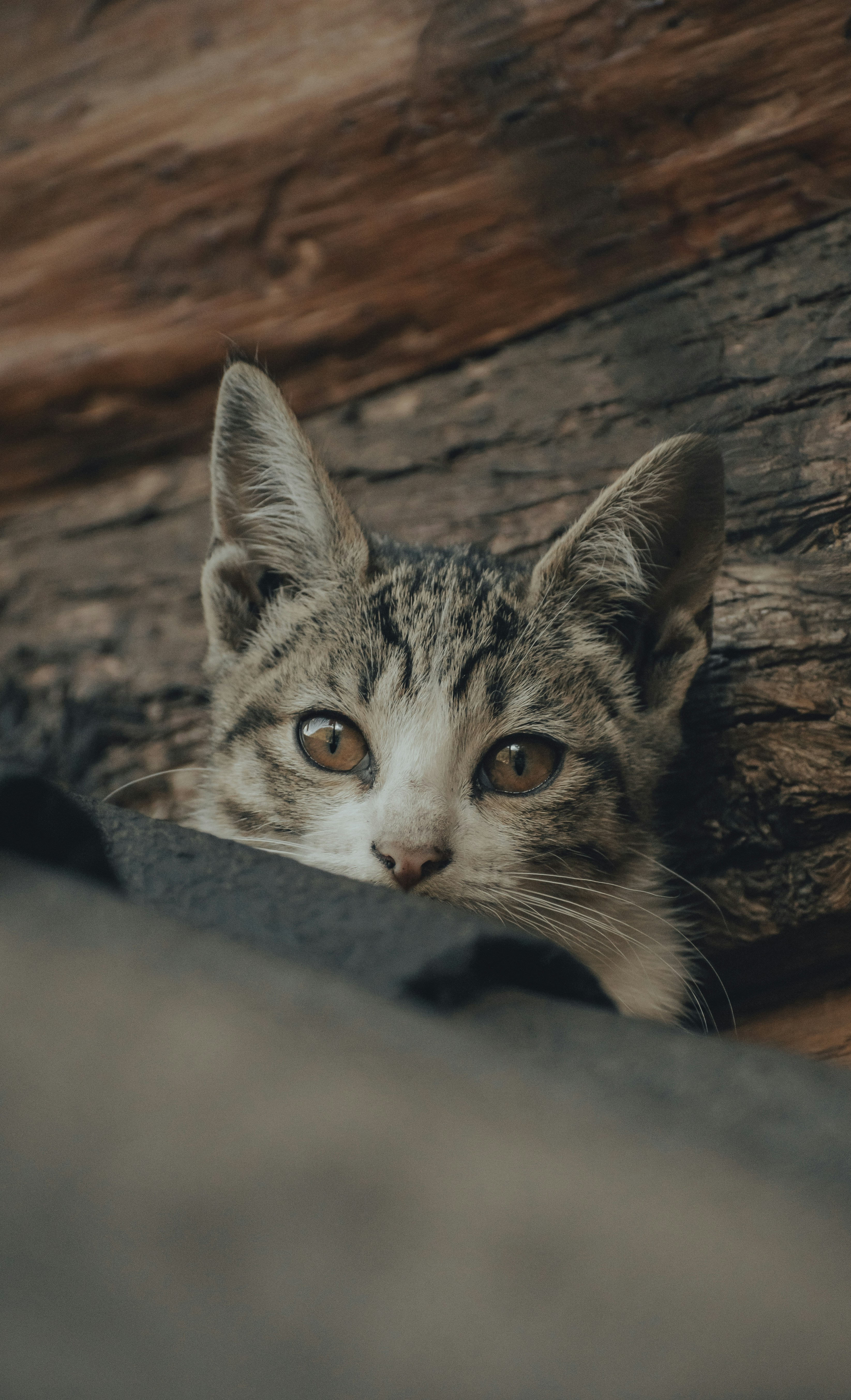 Photo by gasparzaldo