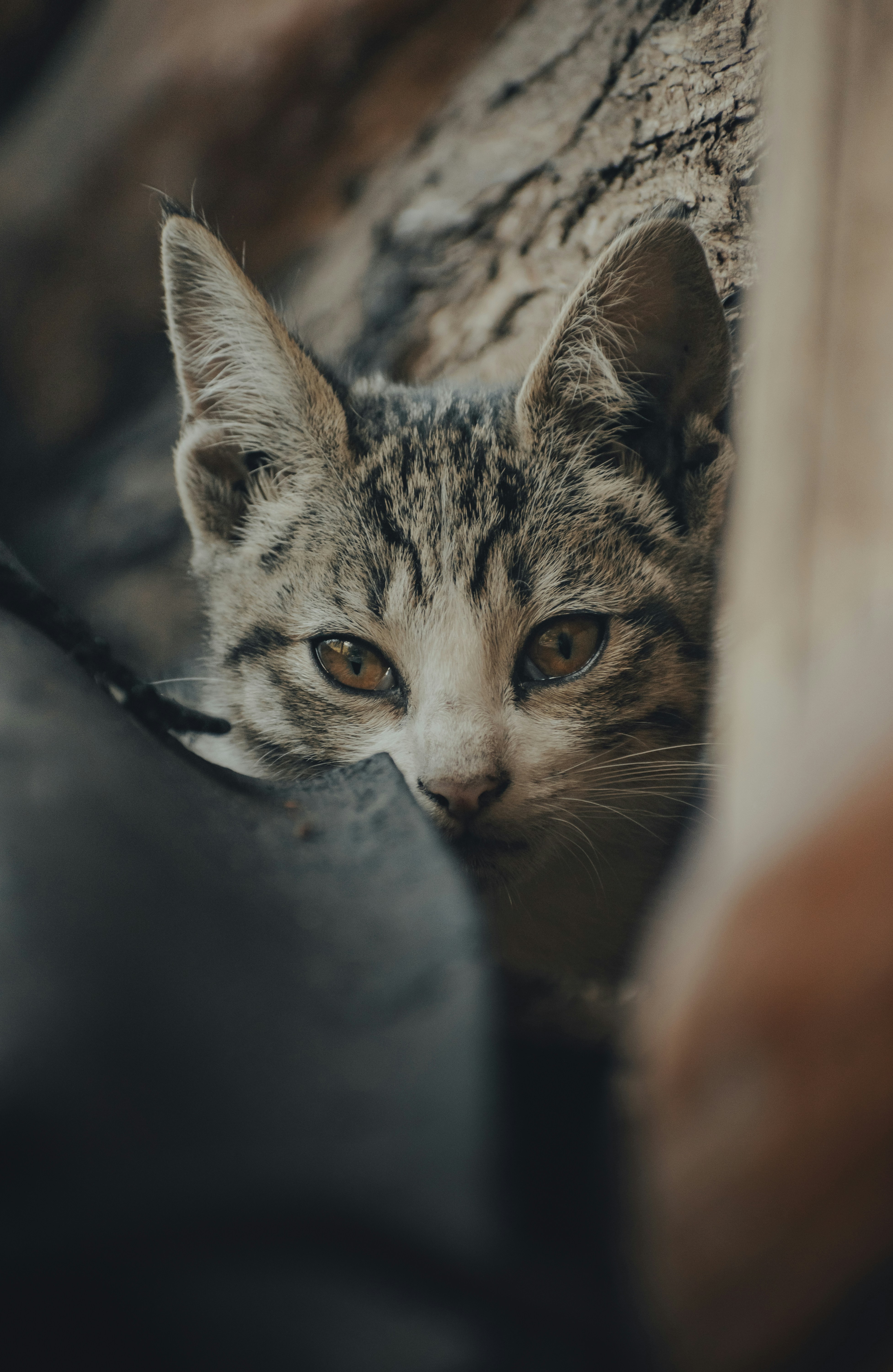 Photo by gasparzaldo