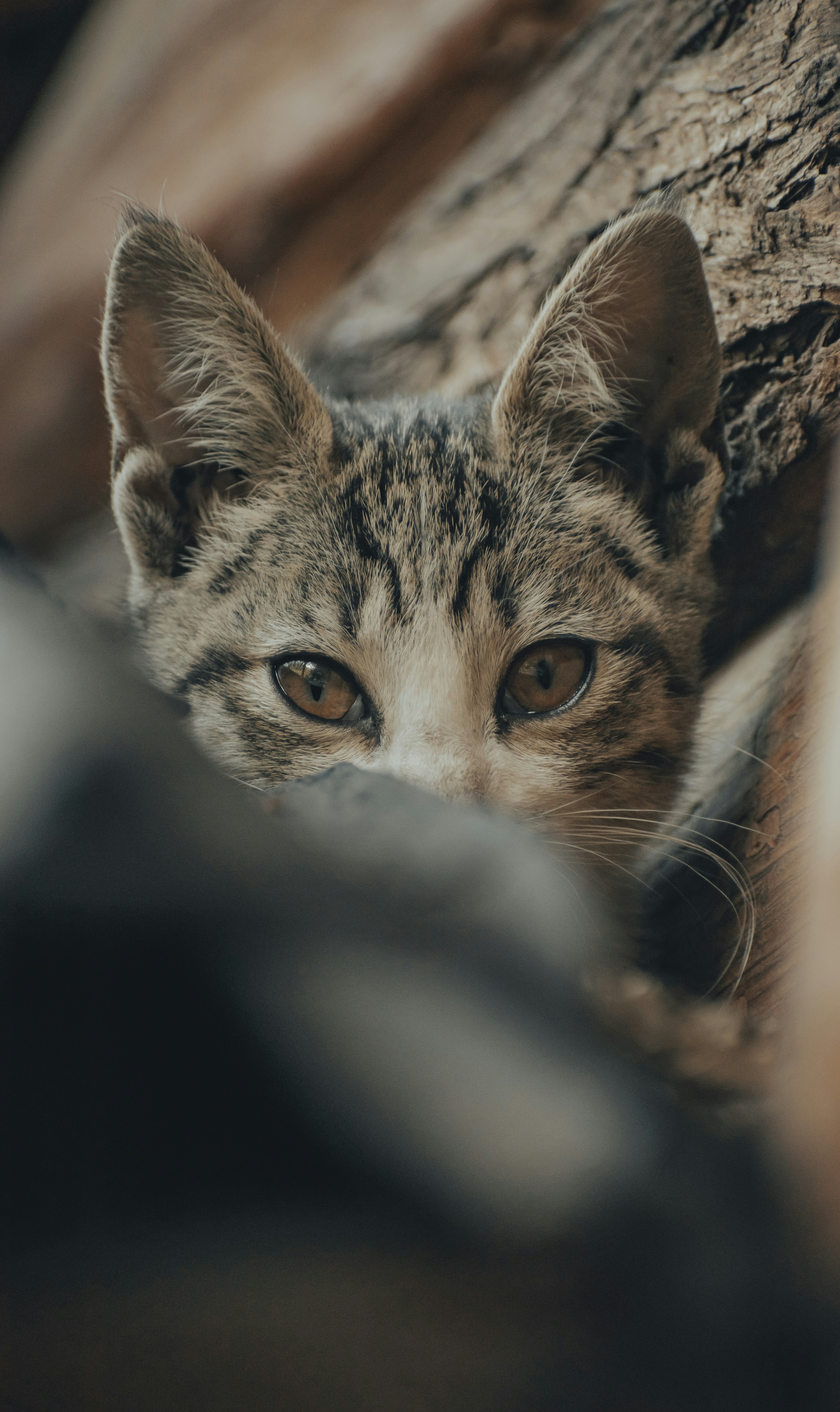 Photo by gasparzaldo