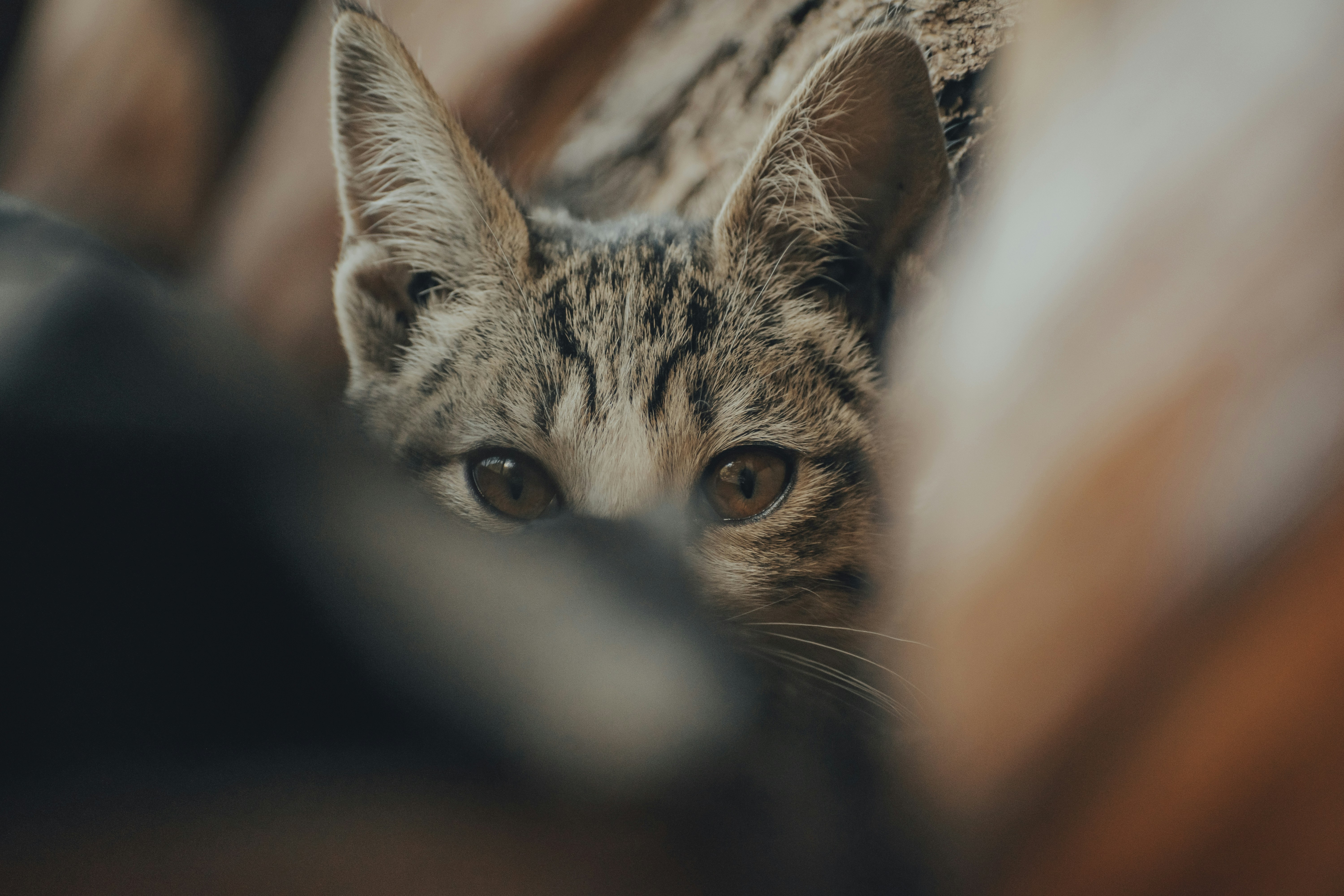 Photo by gasparzaldo