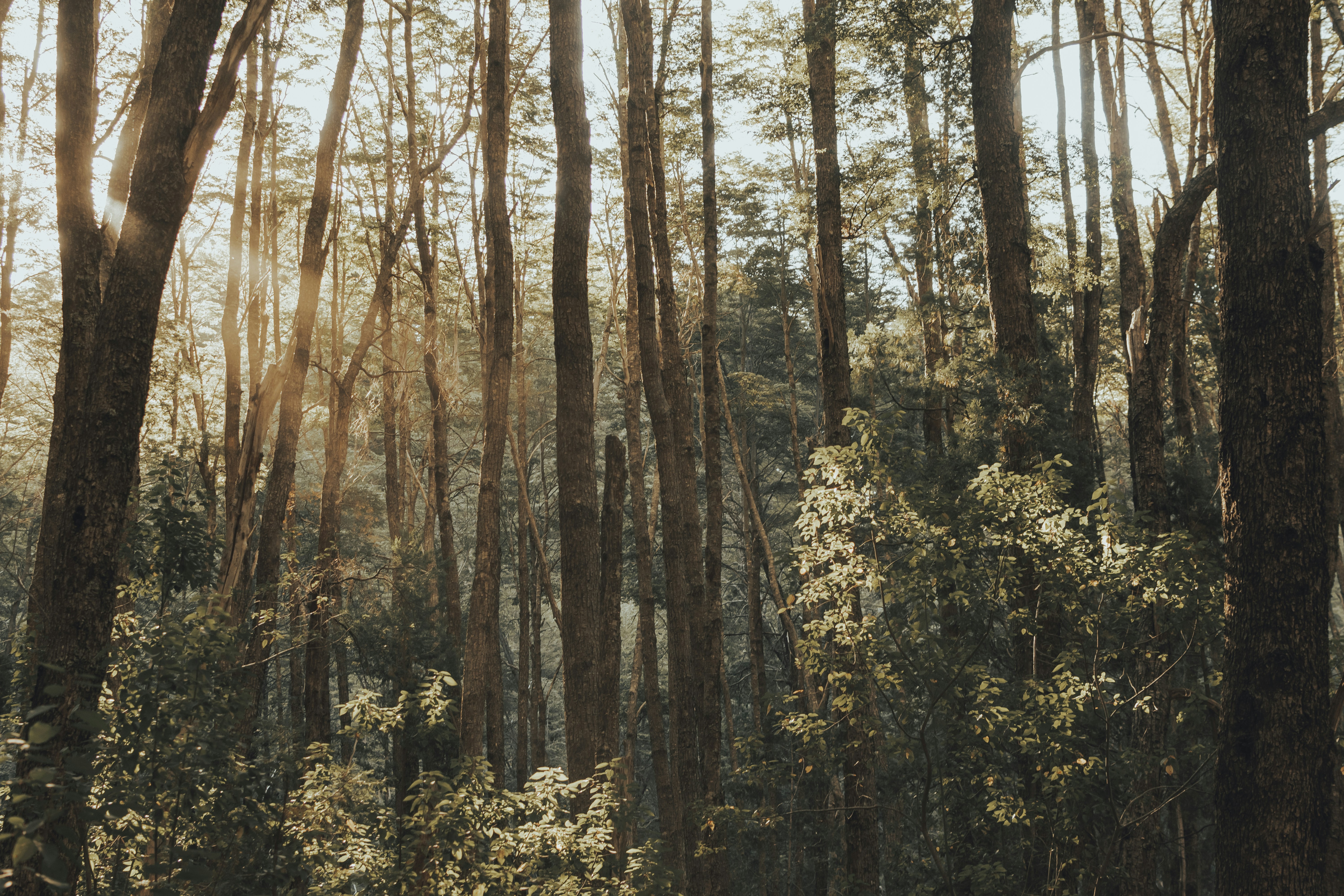 Photo by gasparzaldo