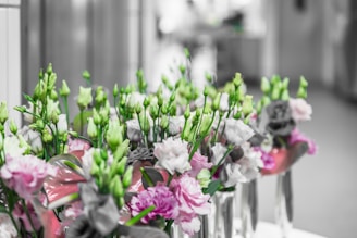 A collection of vibrant flowers with a focus on pink and white blossoms, set inside sleek glass vases. The background is softly blurred, emphasizing the lush green stems and delicate petals in the foreground.