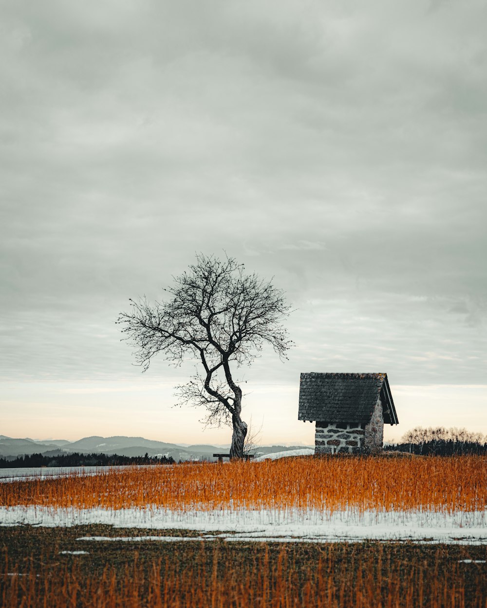 maison en bois marron sur champ brun sous ciel gris
