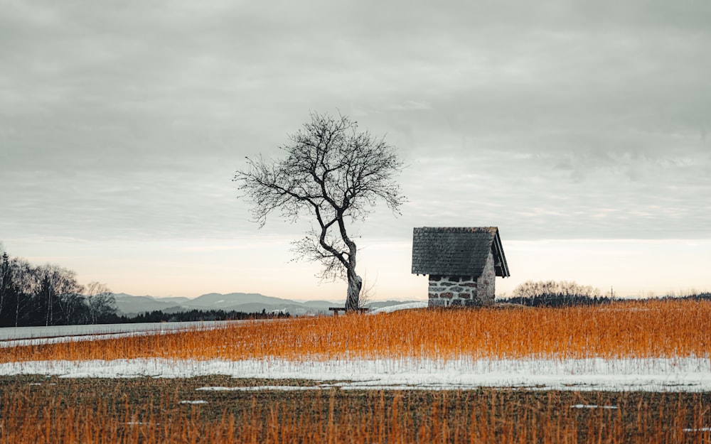 brown wooden house on brown grass field under white clouds during daytime