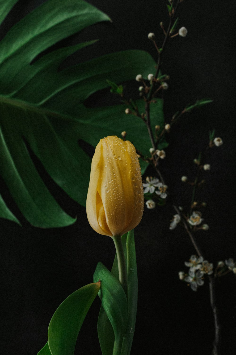 yellow flower with green leaves