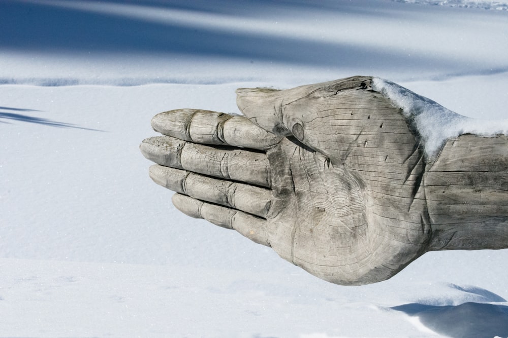 persons hand covered with white snow