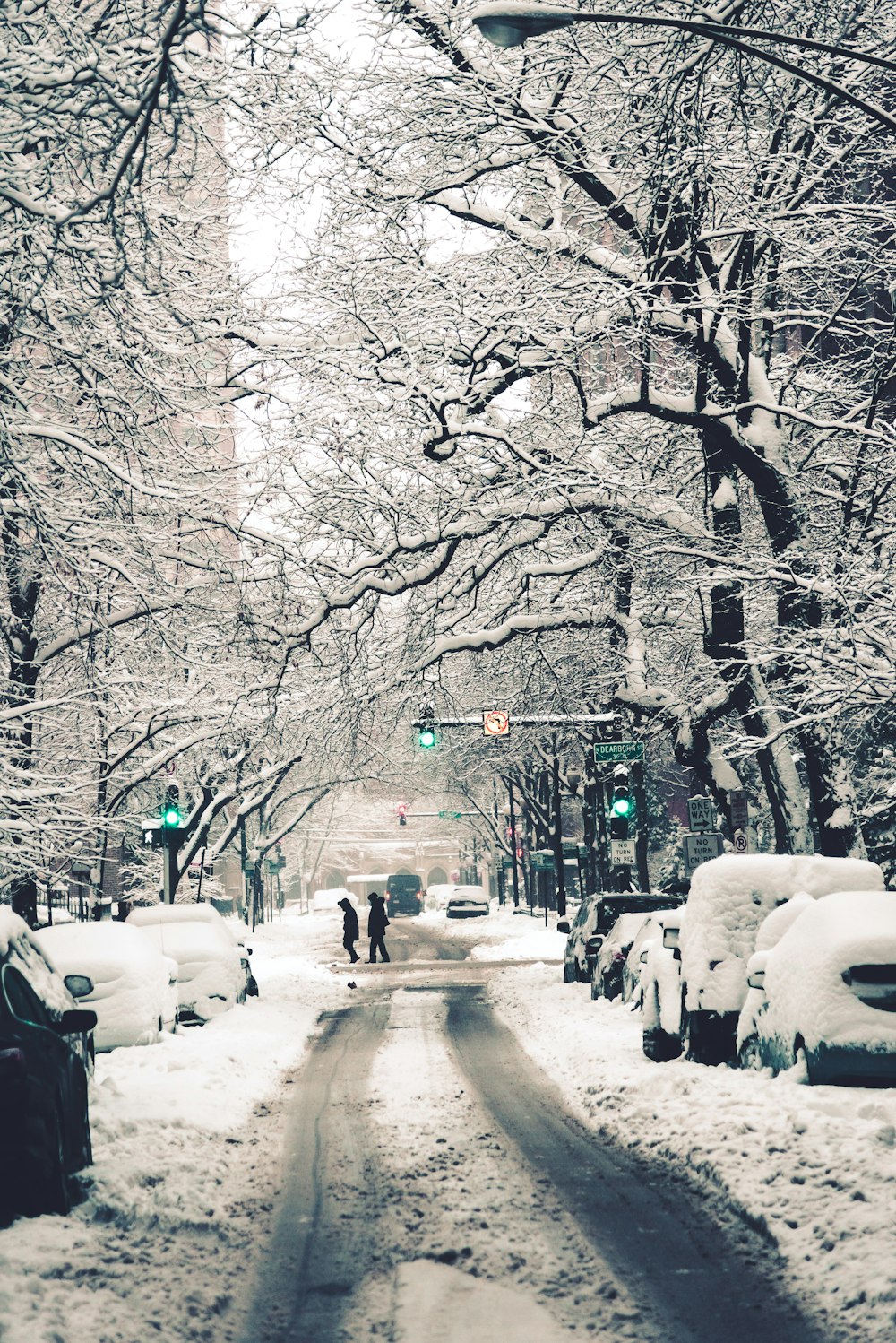 昼間の裸木の間の雪に覆われた道路