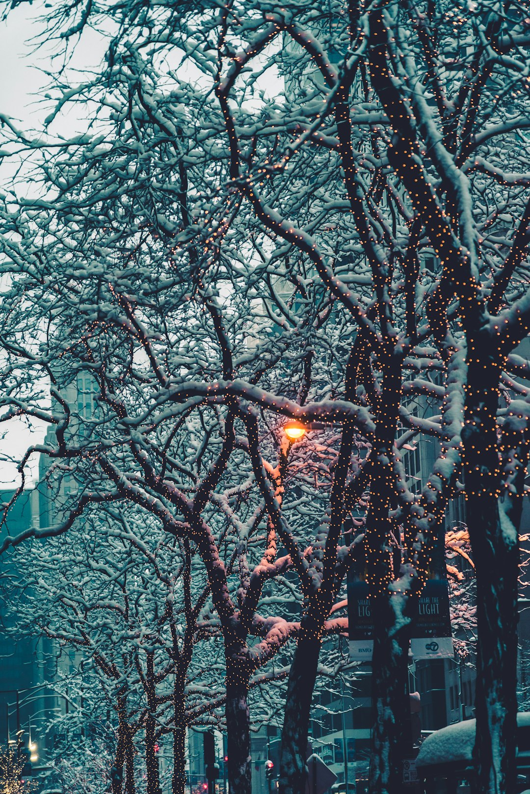 bare trees near building during daytime