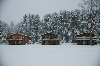 Three year-round waterfront homes along Lake Couchiching, surrounded by snow and winter scenery.