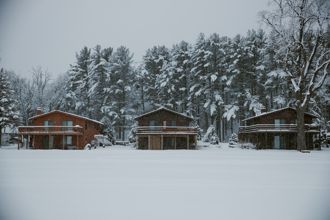 brown wooden house covered with snow near trees during daytime,