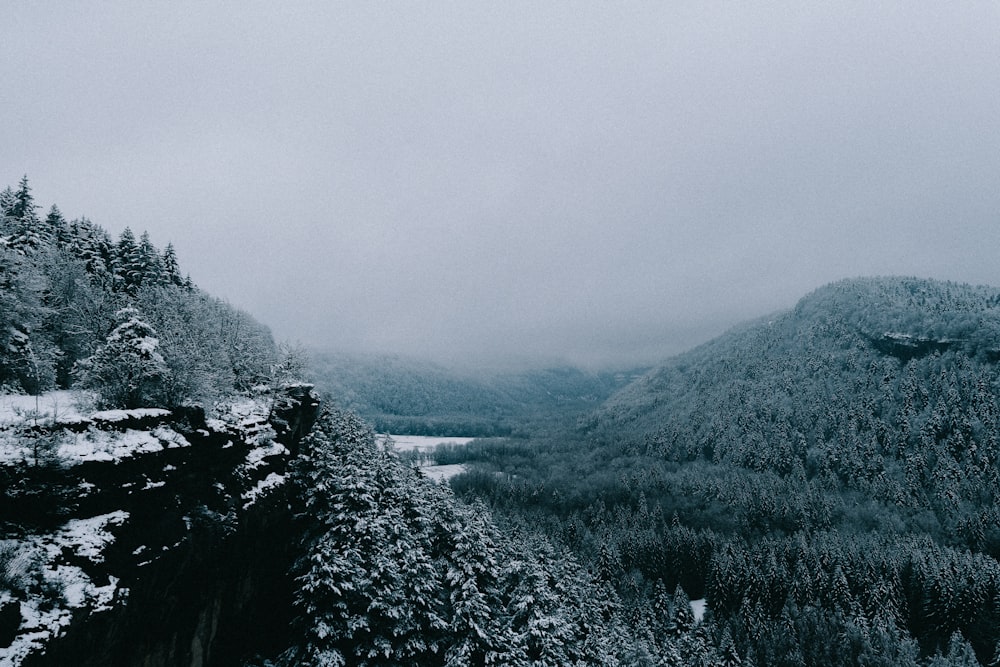 green trees on mountain during daytime