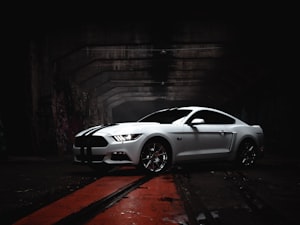 Muscle