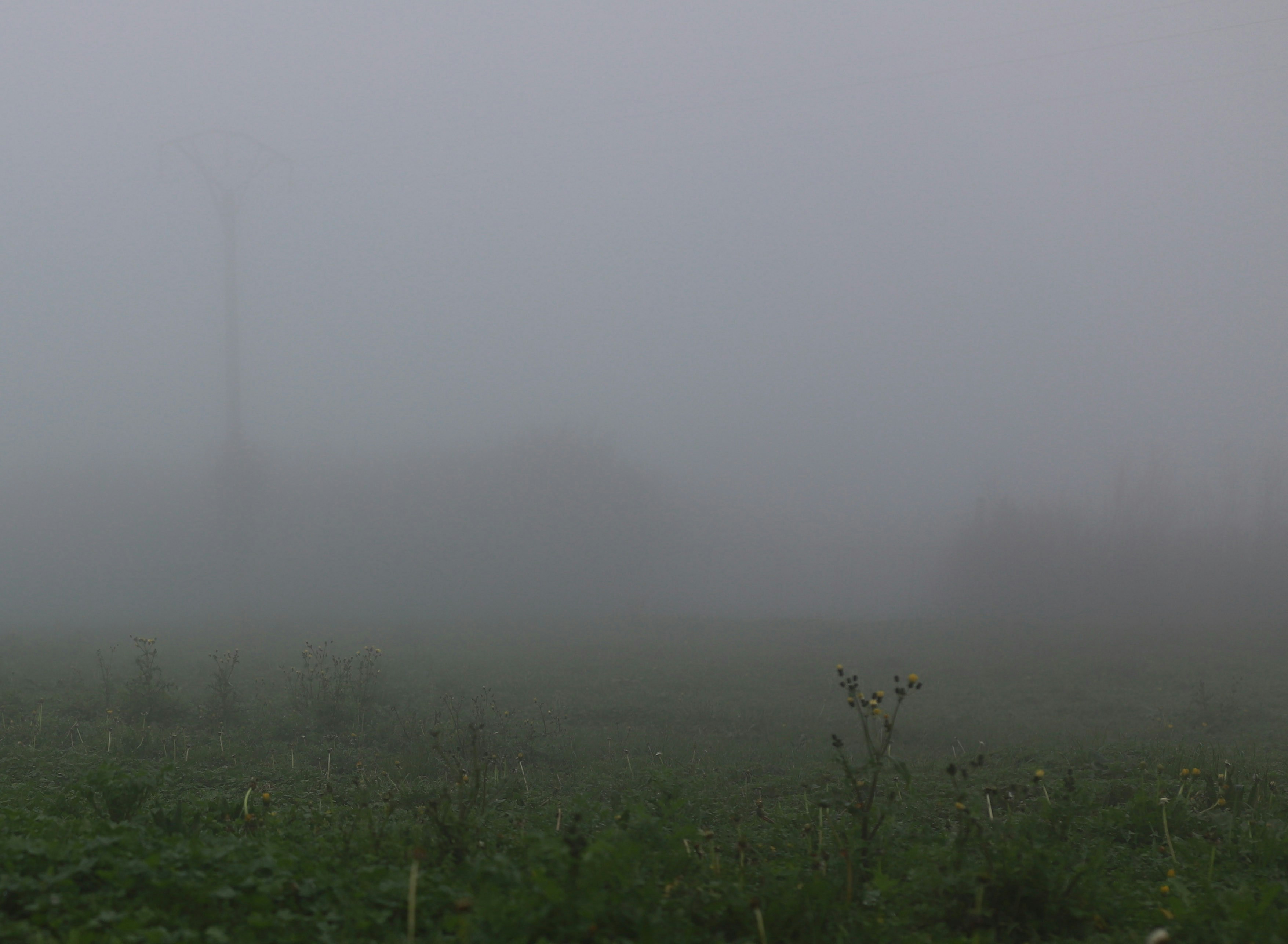 Chemical Signals That Predict Moisture (image credits: unsplash)