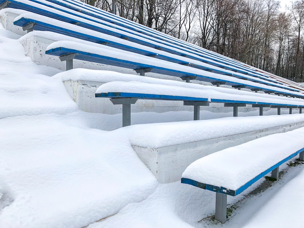 snow covered bench near bare trees during daytime