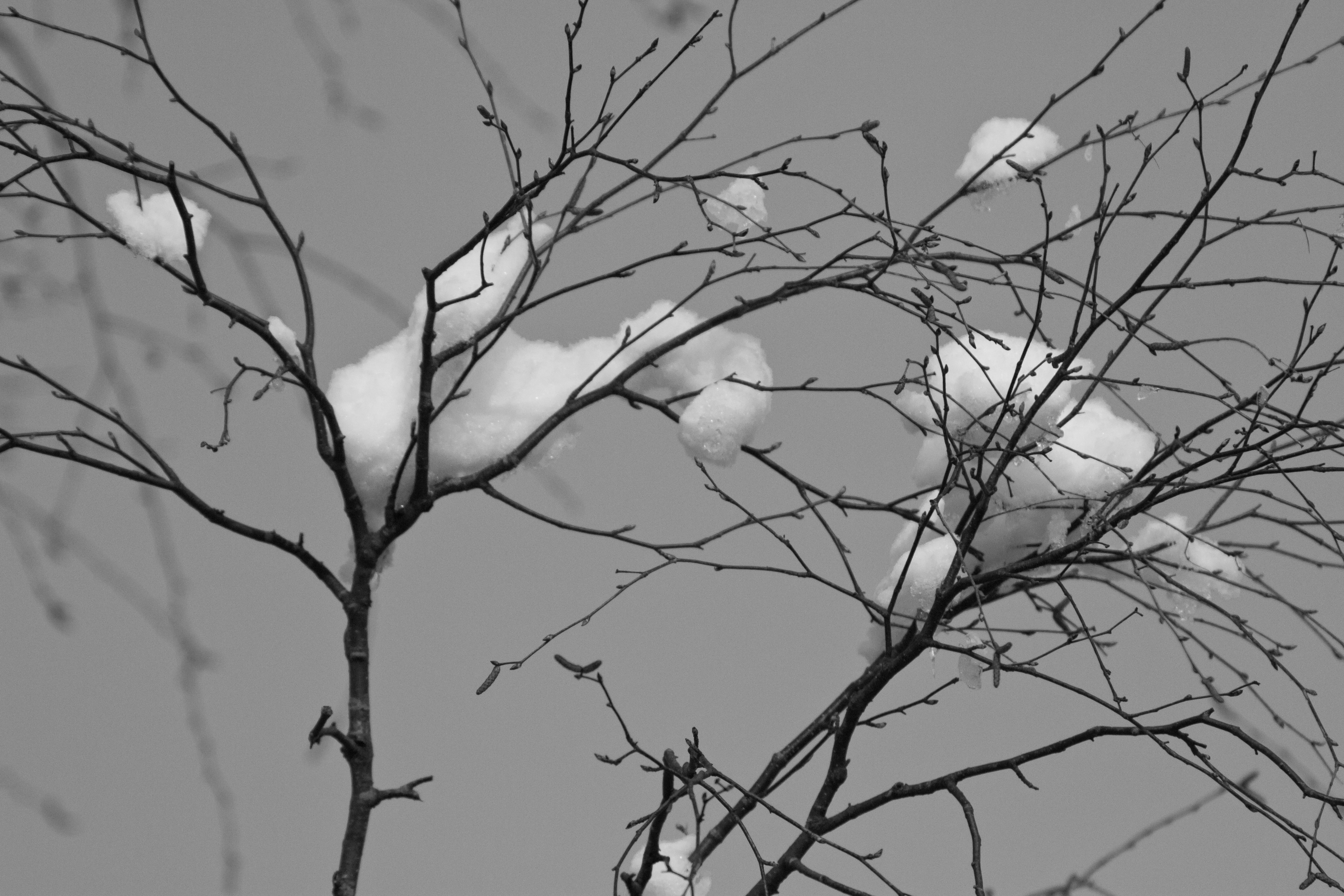 Photo by valentinhintikka