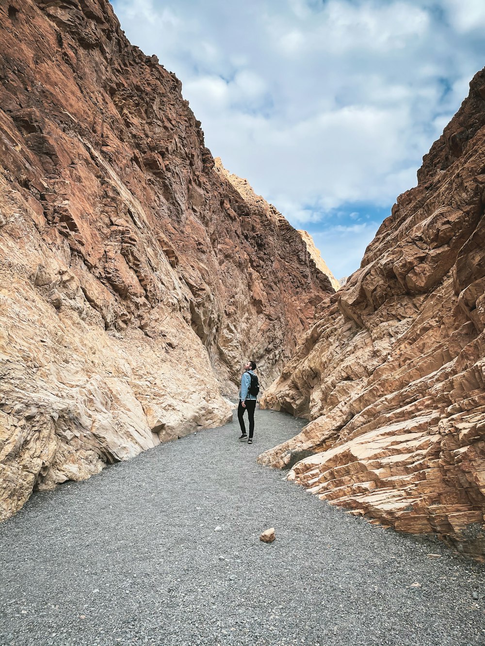 man in blue jacket walking on pathway between brown rock formation during daytime