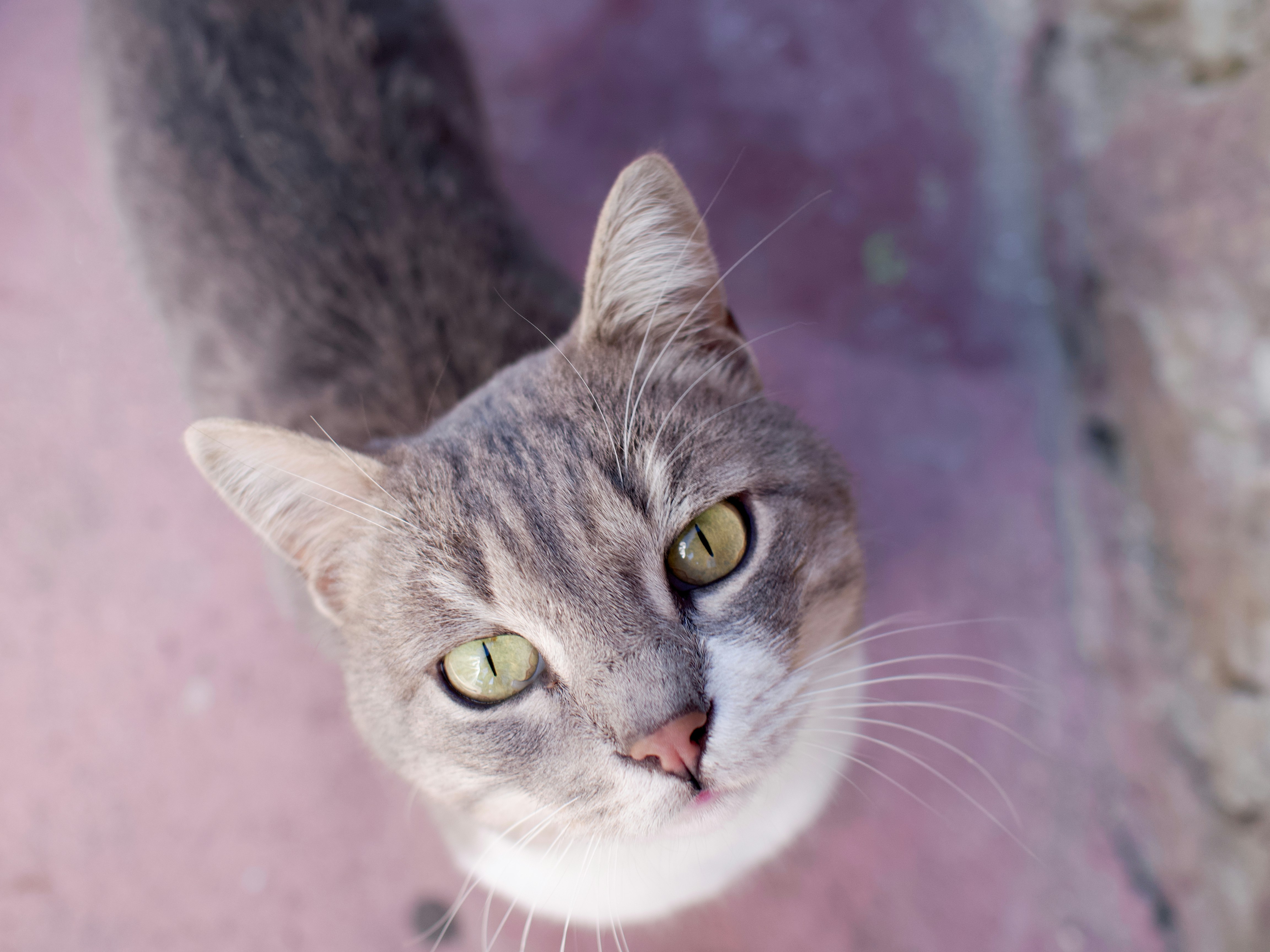 Photo by diego_geraldi