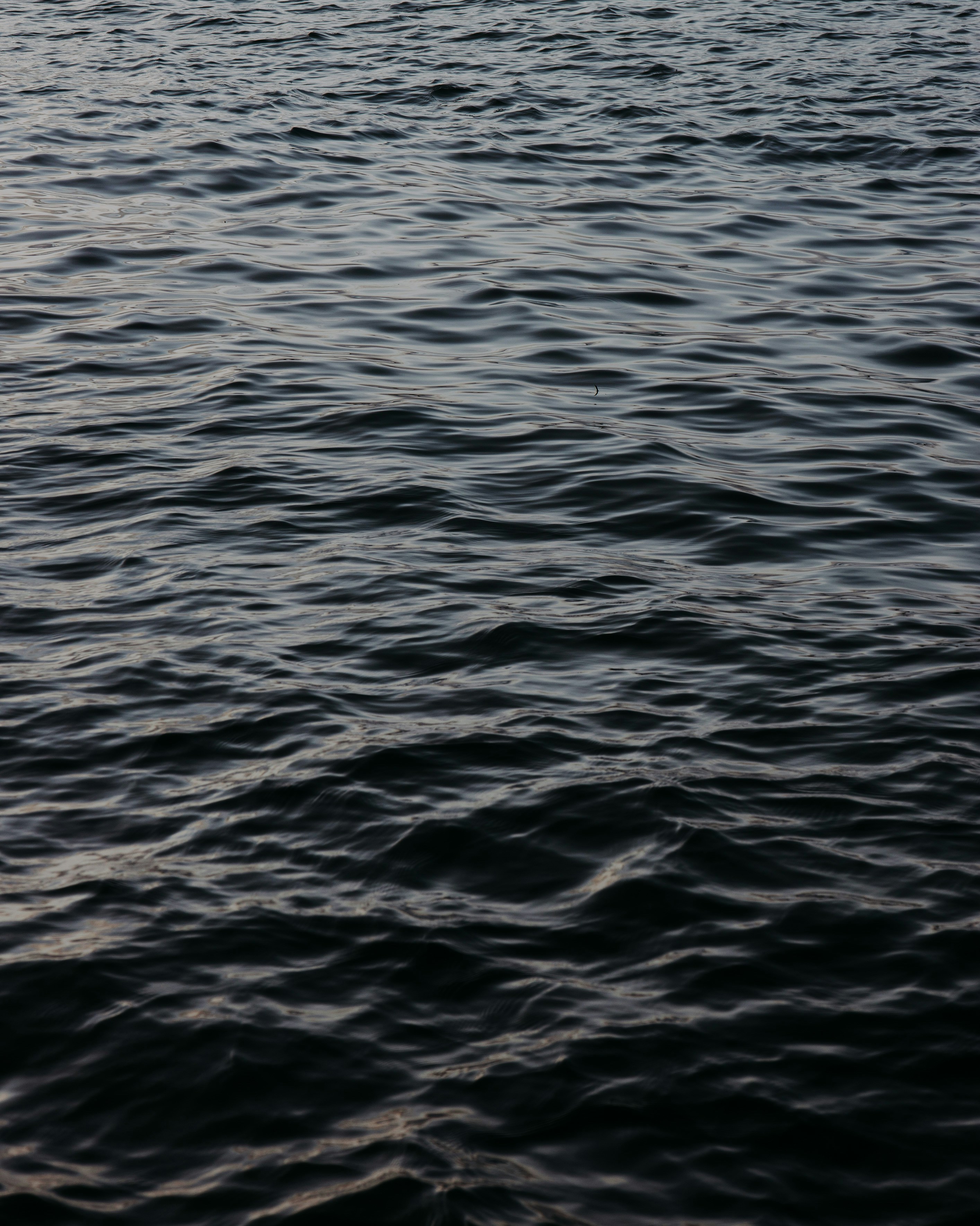 Photo by visualsbyjabber