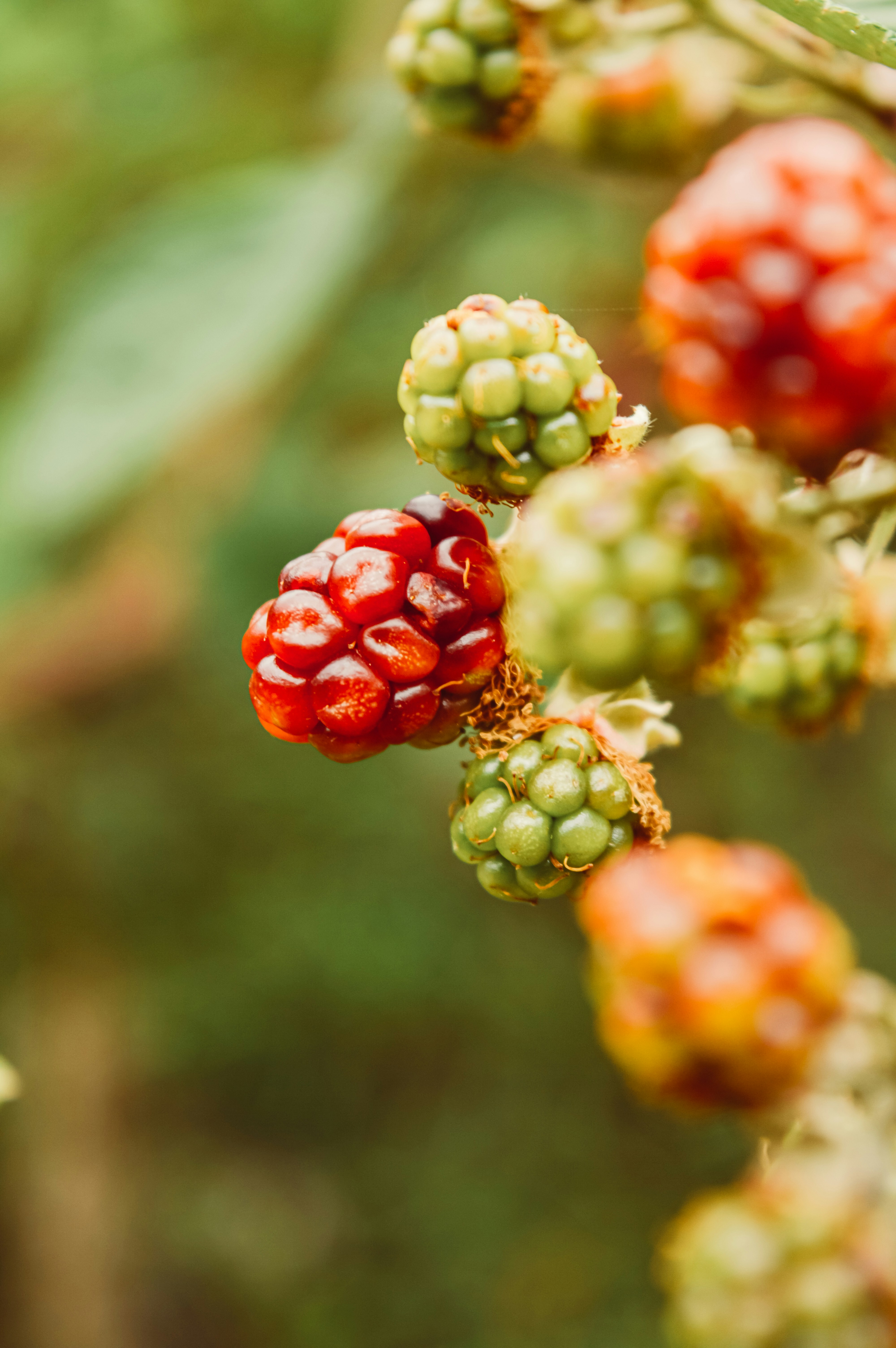 Photo by florenciasimonini