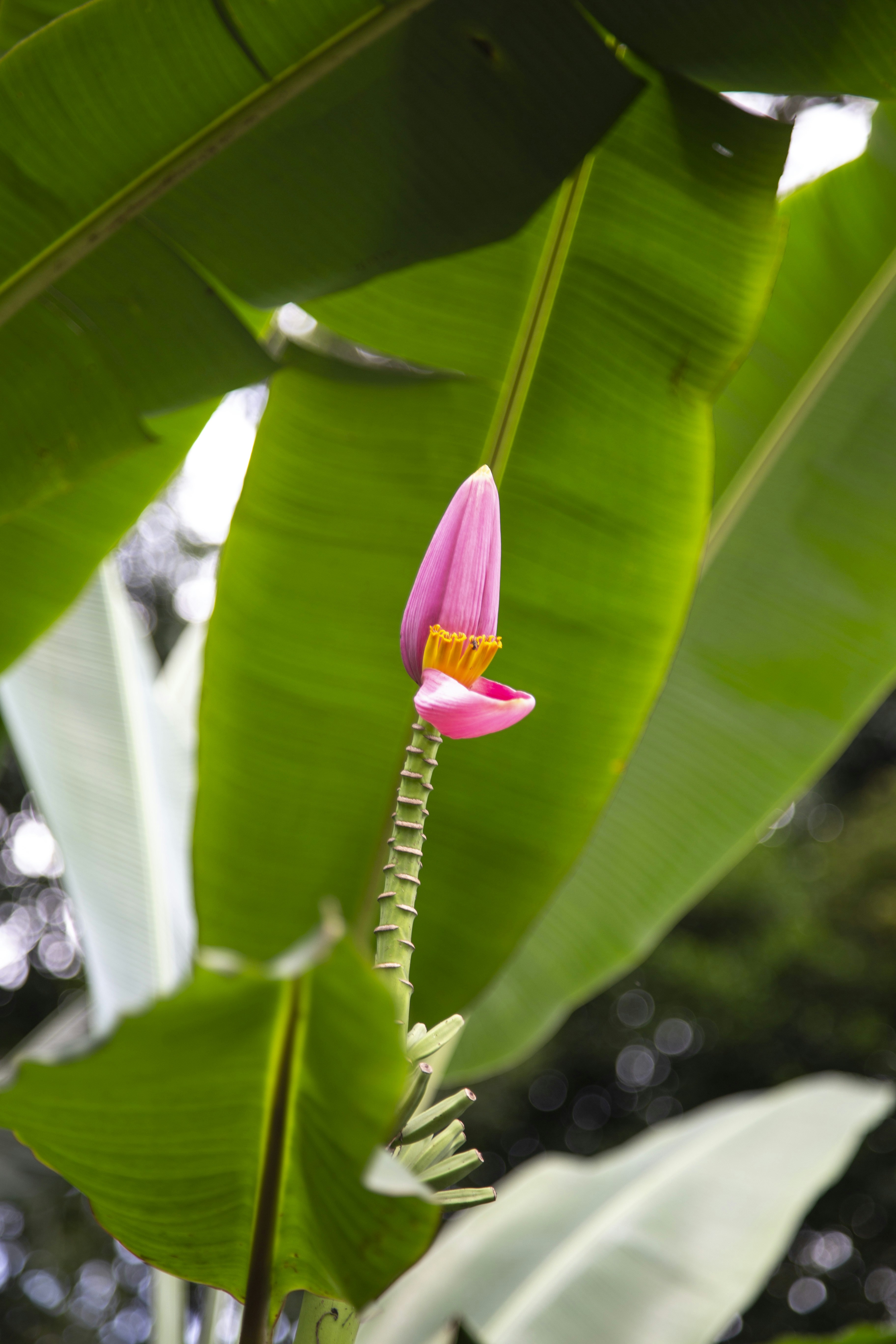 Photo by milada_vigerova