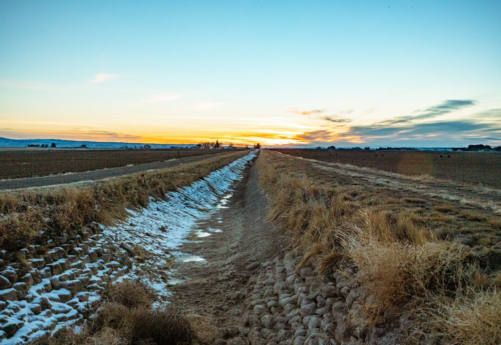 brown field under blue sky during daytime