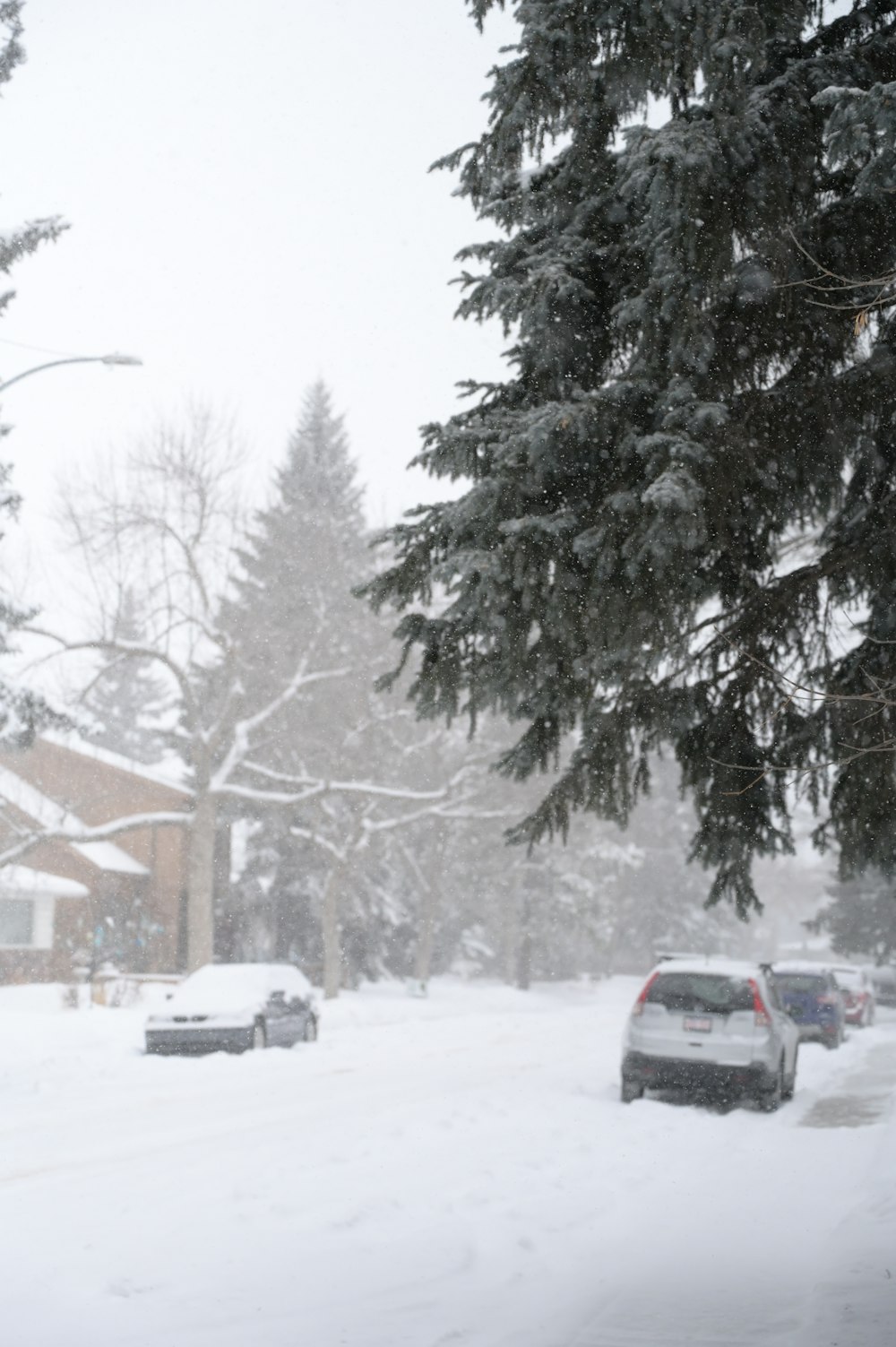 black car on snow covered road during daytime