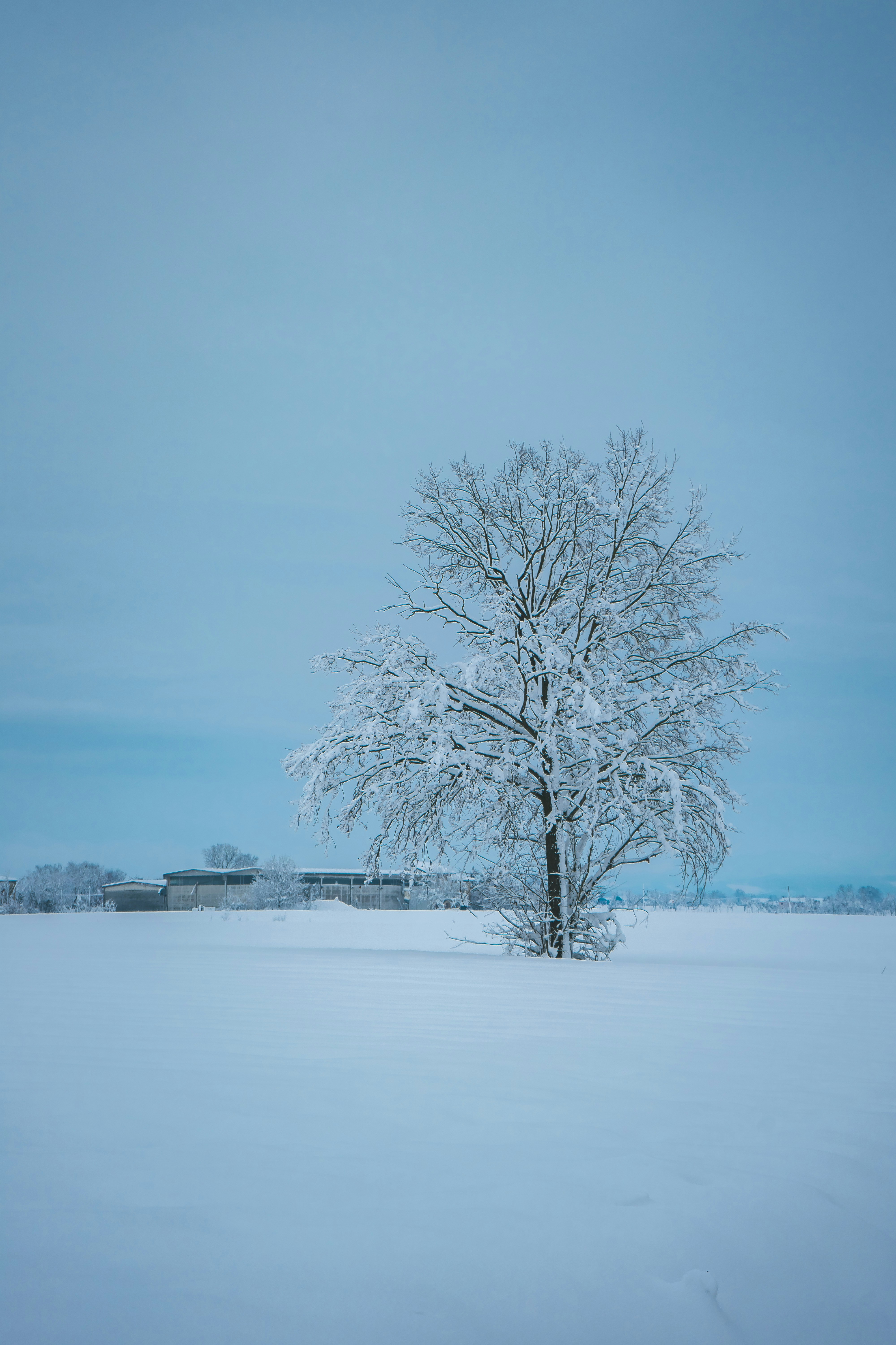 Photo by giovanni1304