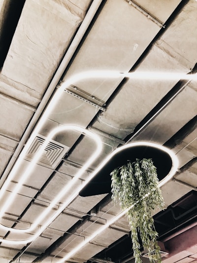 The image features an interior ceiling design with sleek, modern lighting lines running across. A patch of greenery hangs from a circular black fixture, adding a natural element to the industrial ceiling.