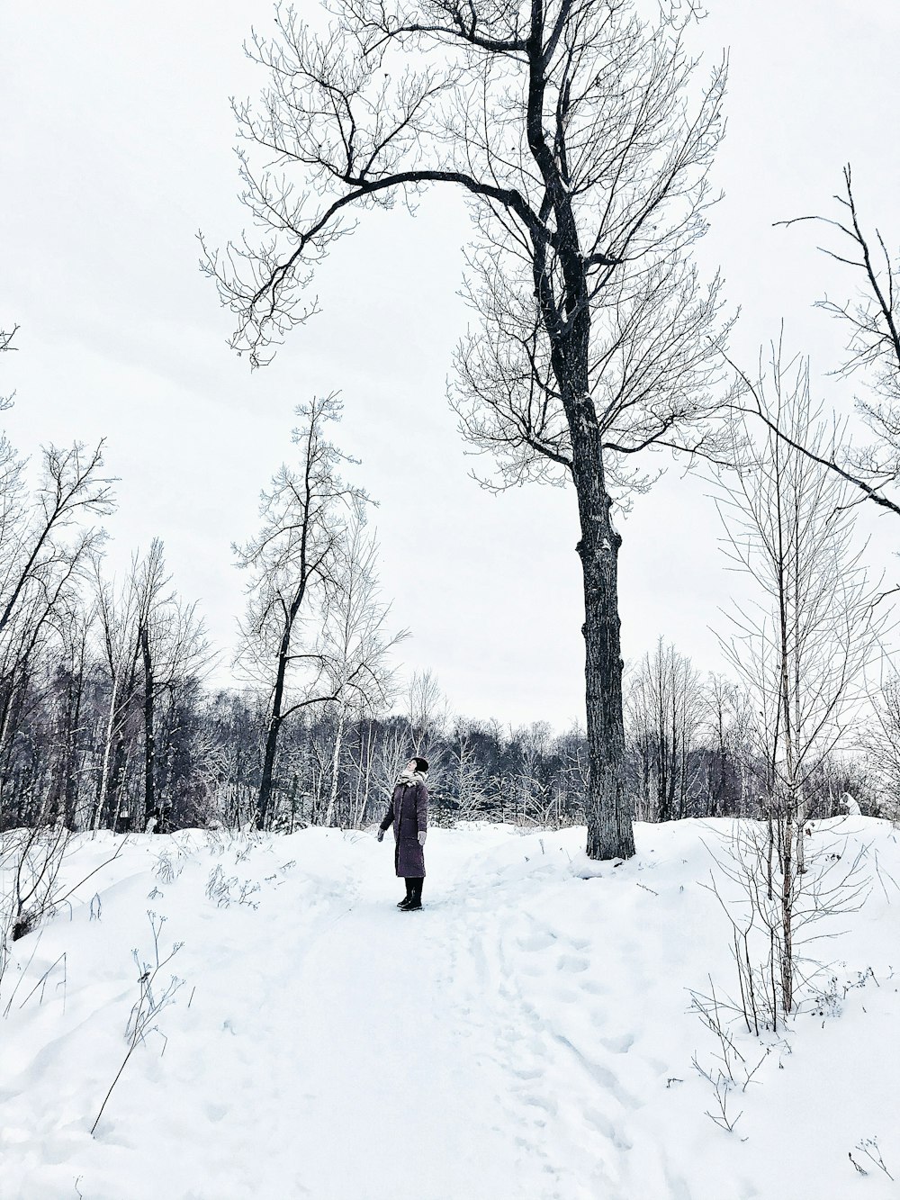 person in red jacket standing on snow covered ground near bare trees during daytime