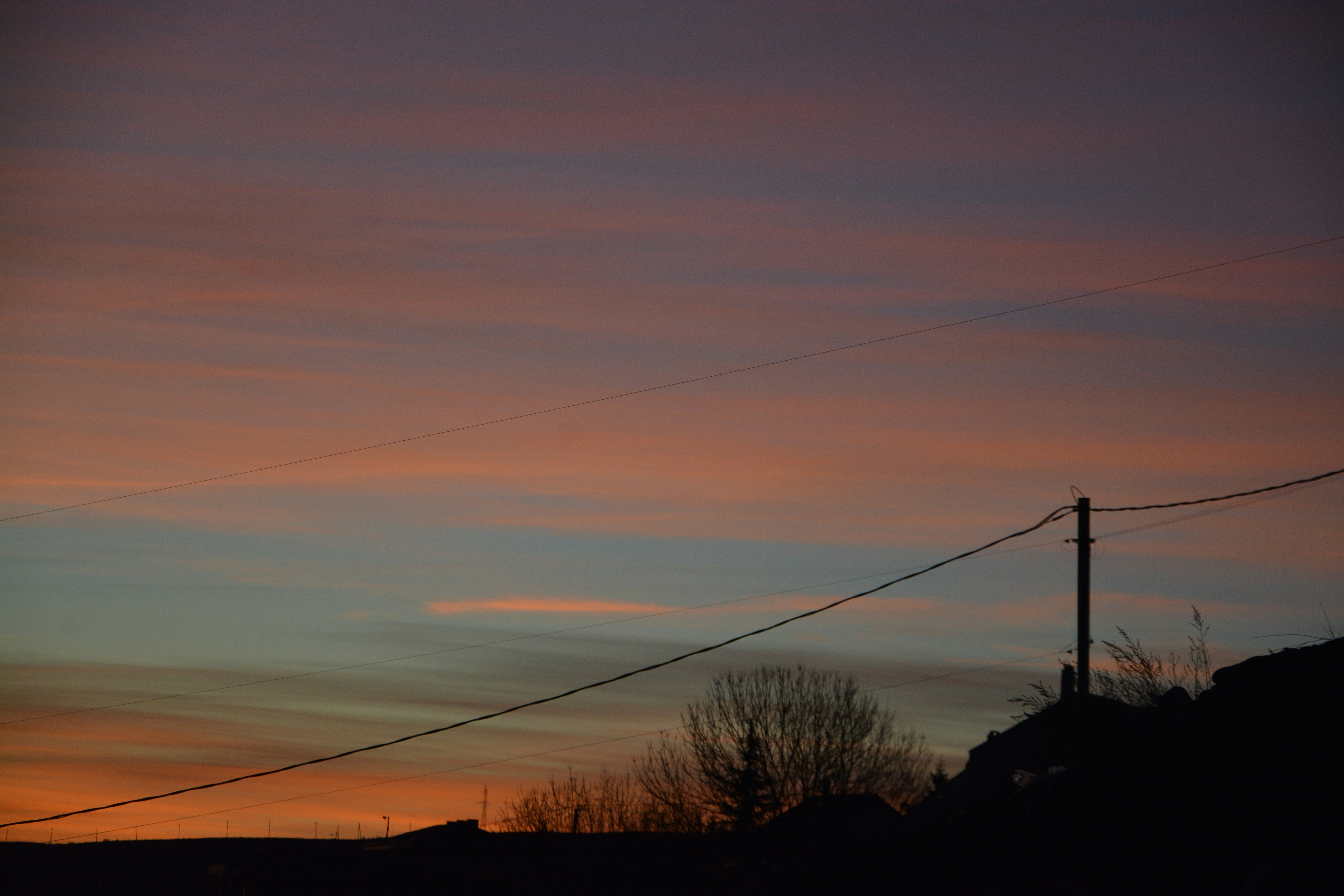 Photo by ekotavkhelidze