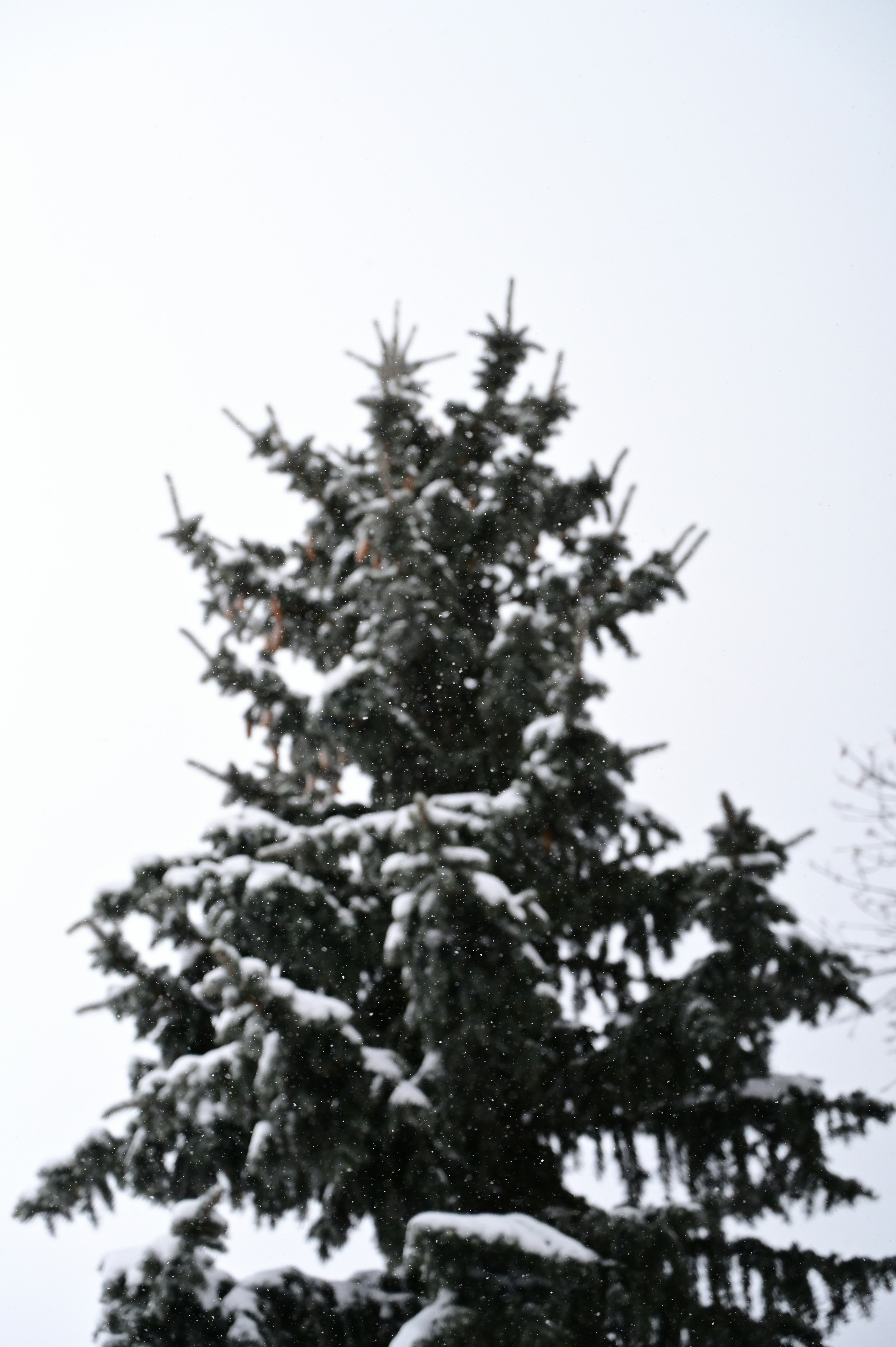 Photo by ryunosuke_kikuno