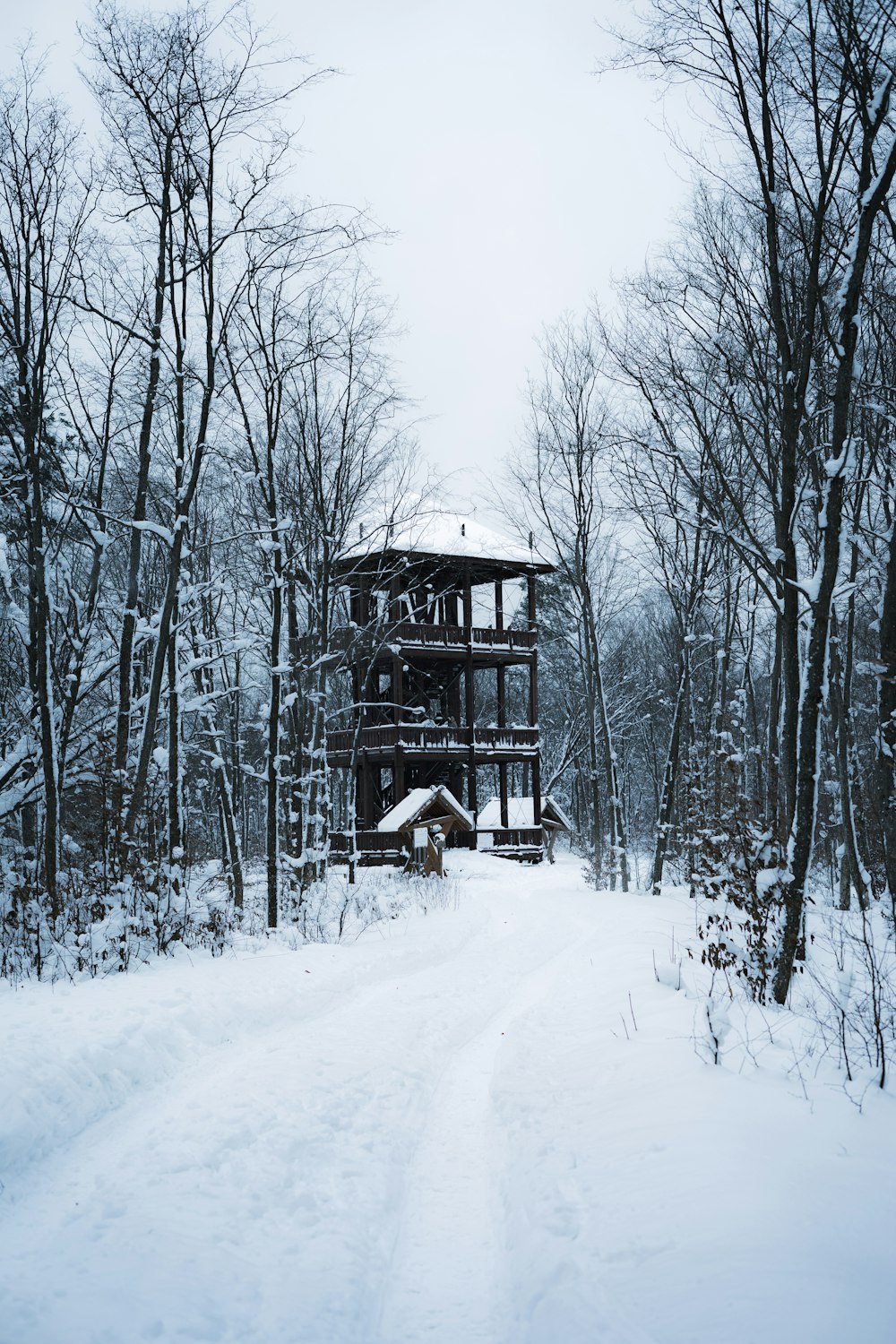 Casa de madera marrón en suelo cubierto de nieve