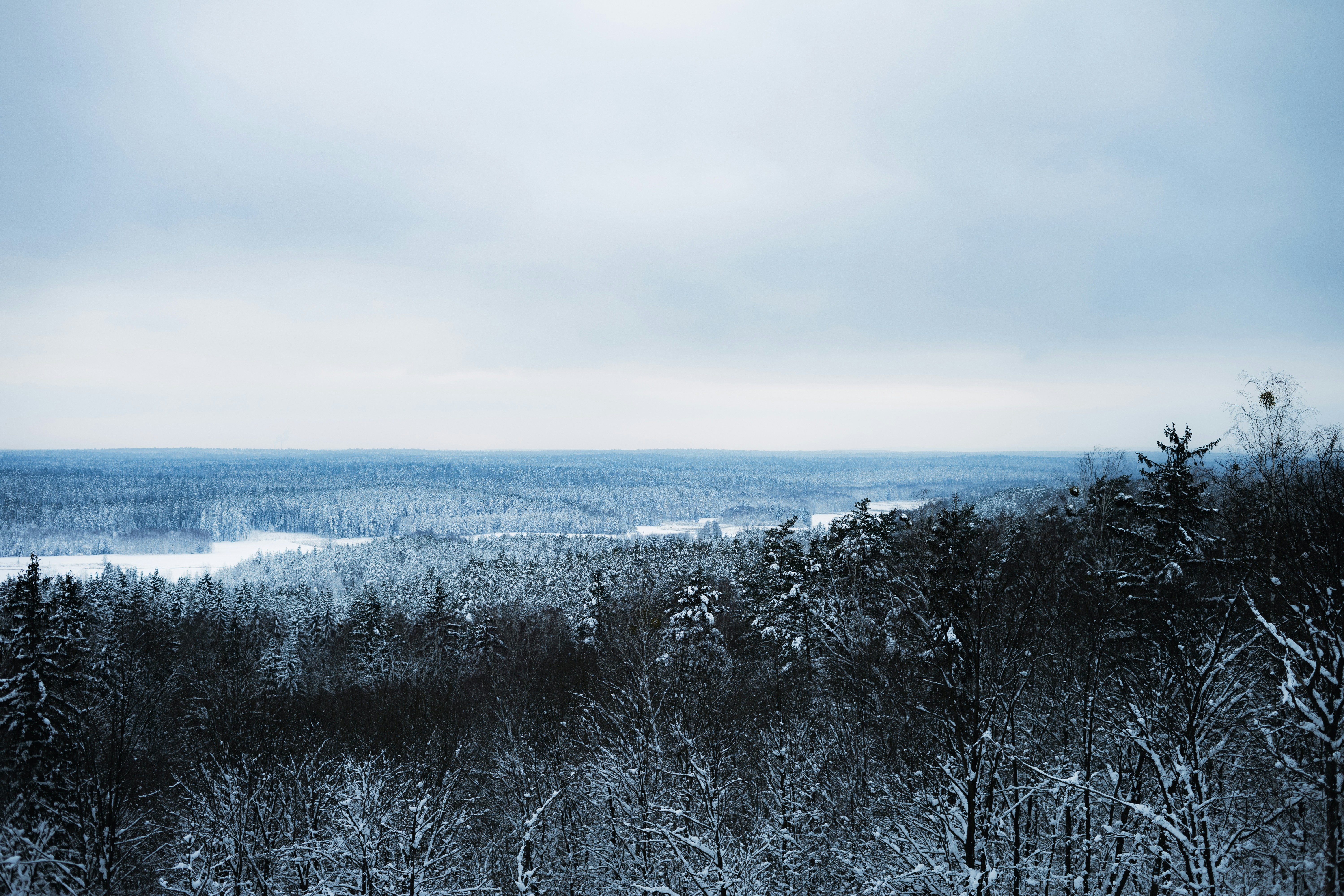 Photo by puszkins