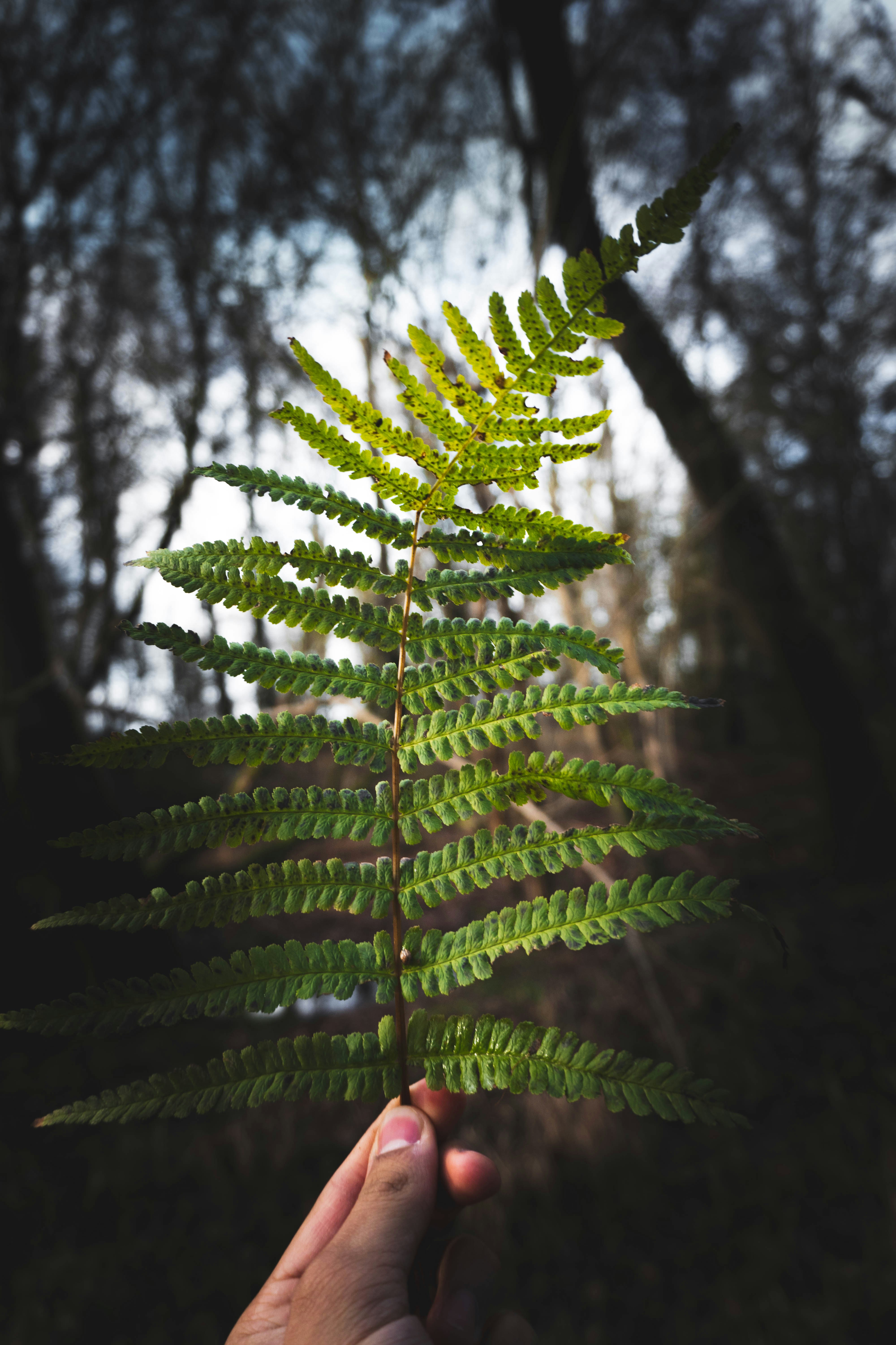 Photo by kylebushnell