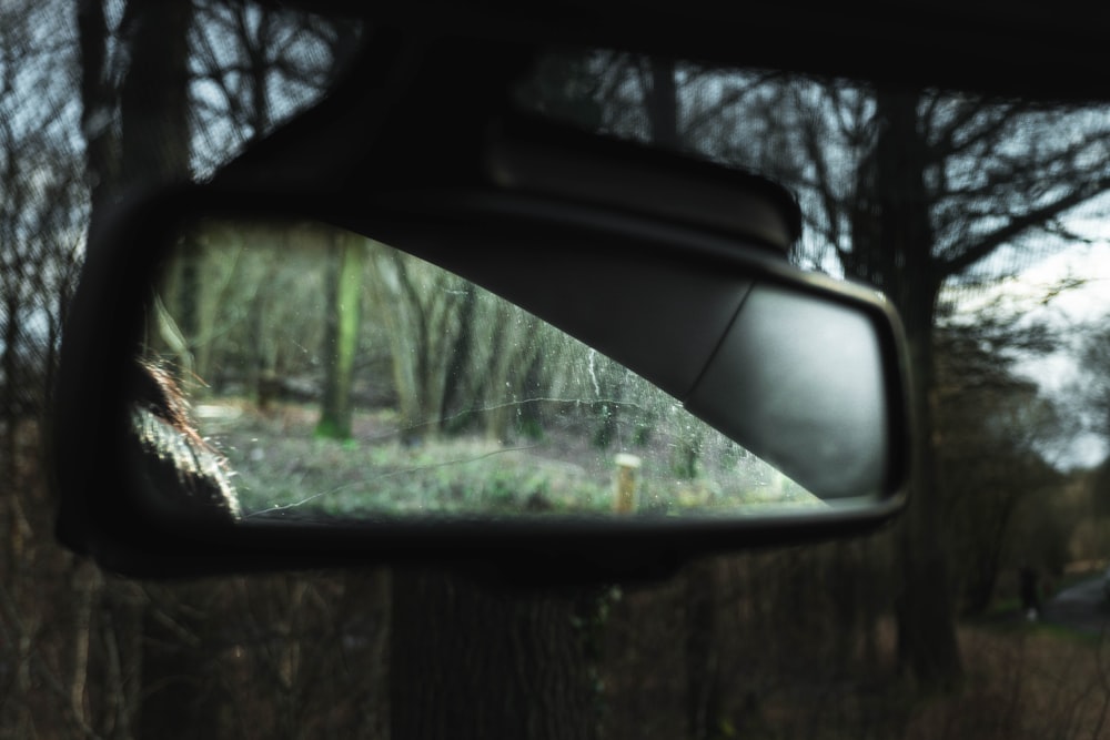 car side mirror showing green trees during daytime